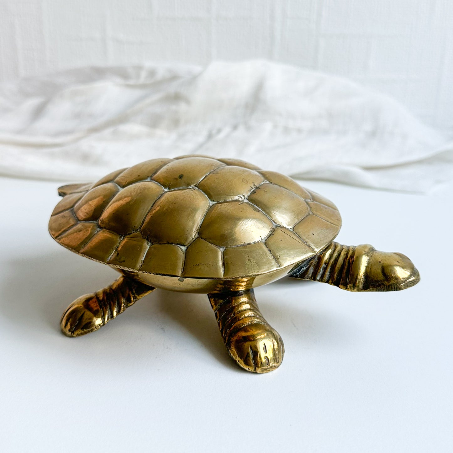 Brass Turtle Box