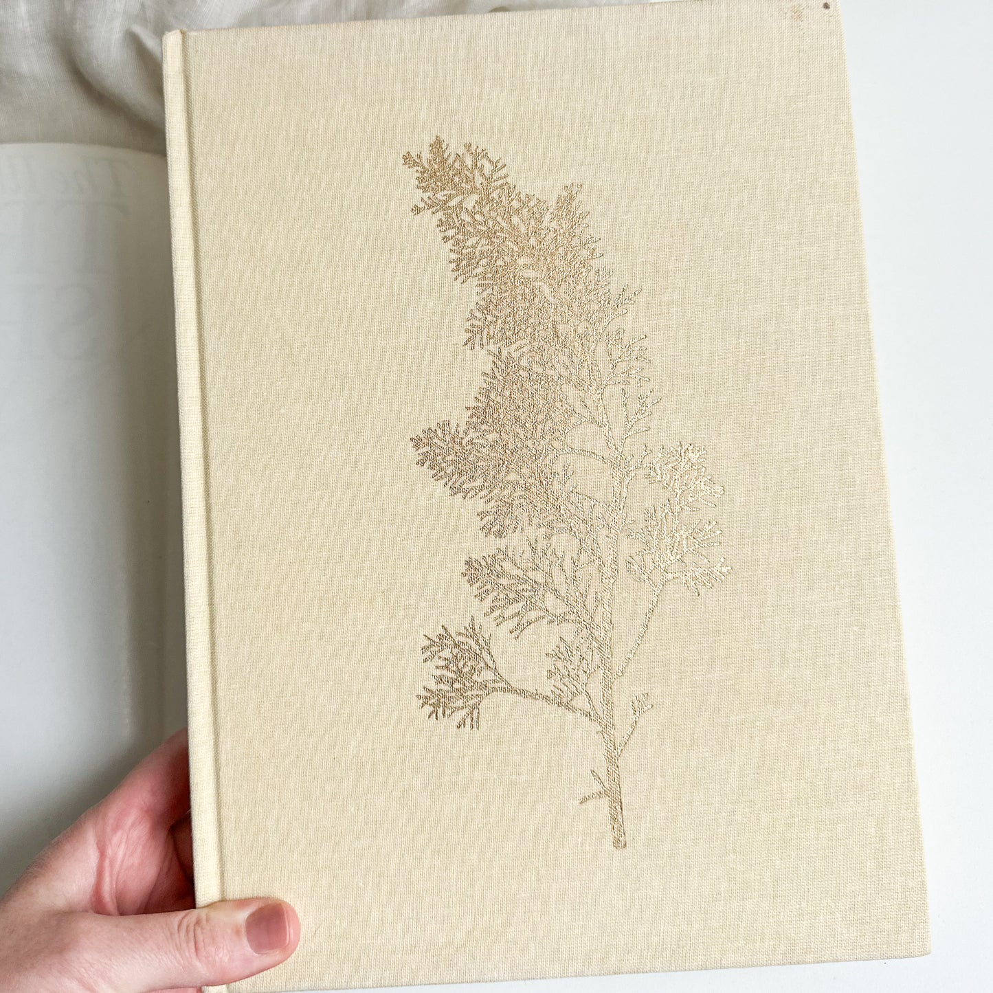 The Illustrated Book of Trees & Shrubs