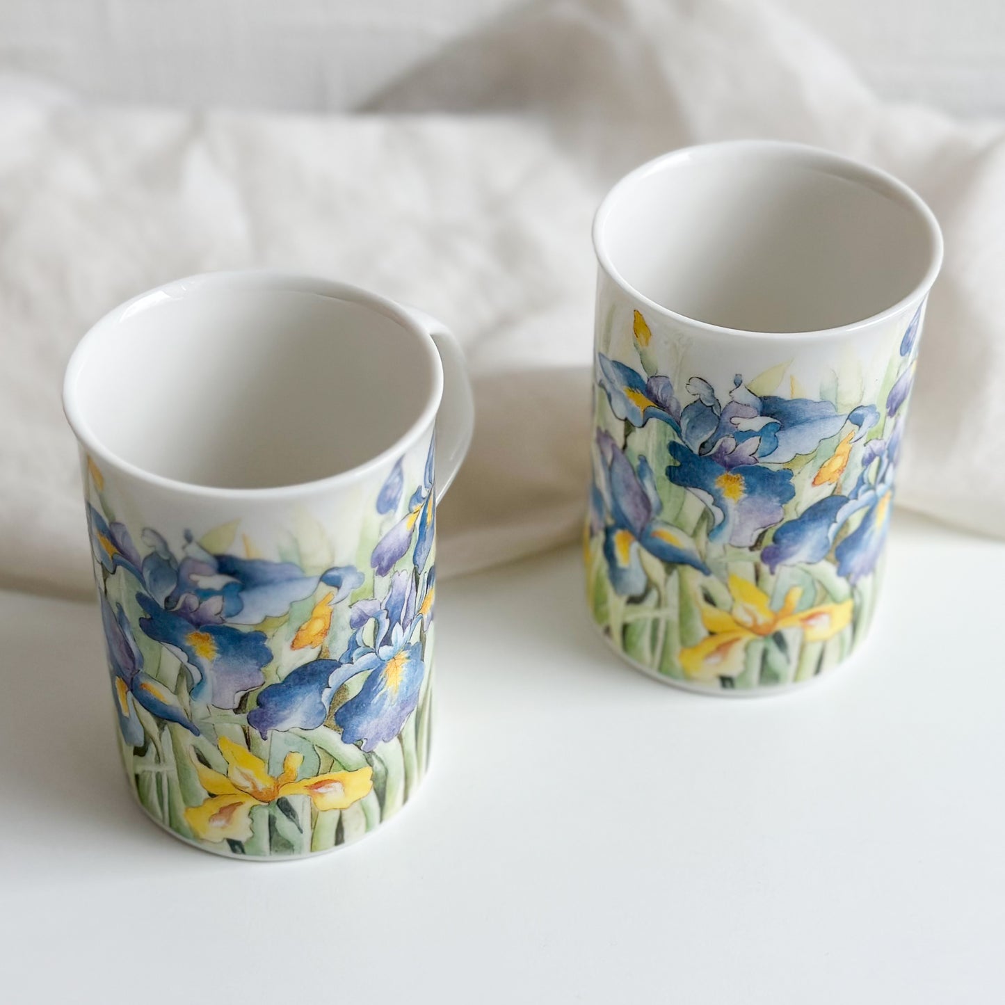 Pair of Iris Mugs by Royal Doulton