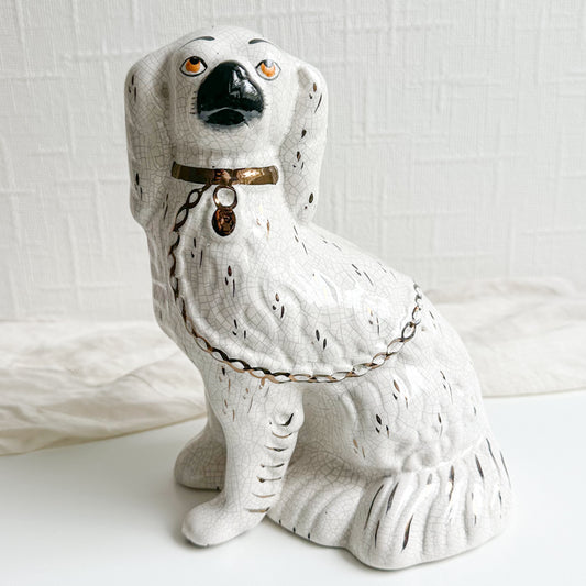 Single Staffordshire Spaniel