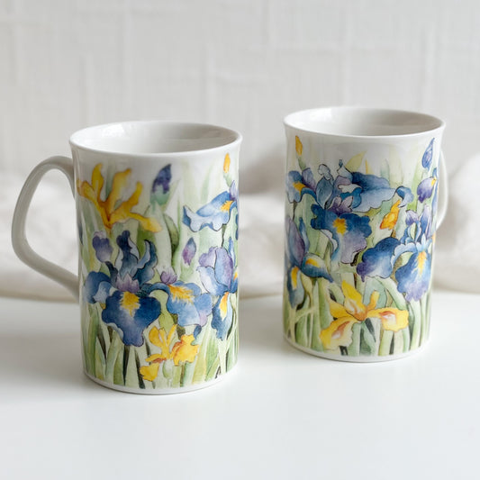 Pair of Iris Mugs by Royal Doulton