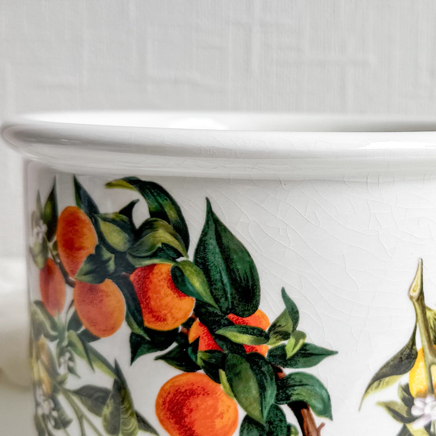 Portmeirion “Oranges and Lemons” Plant Pot