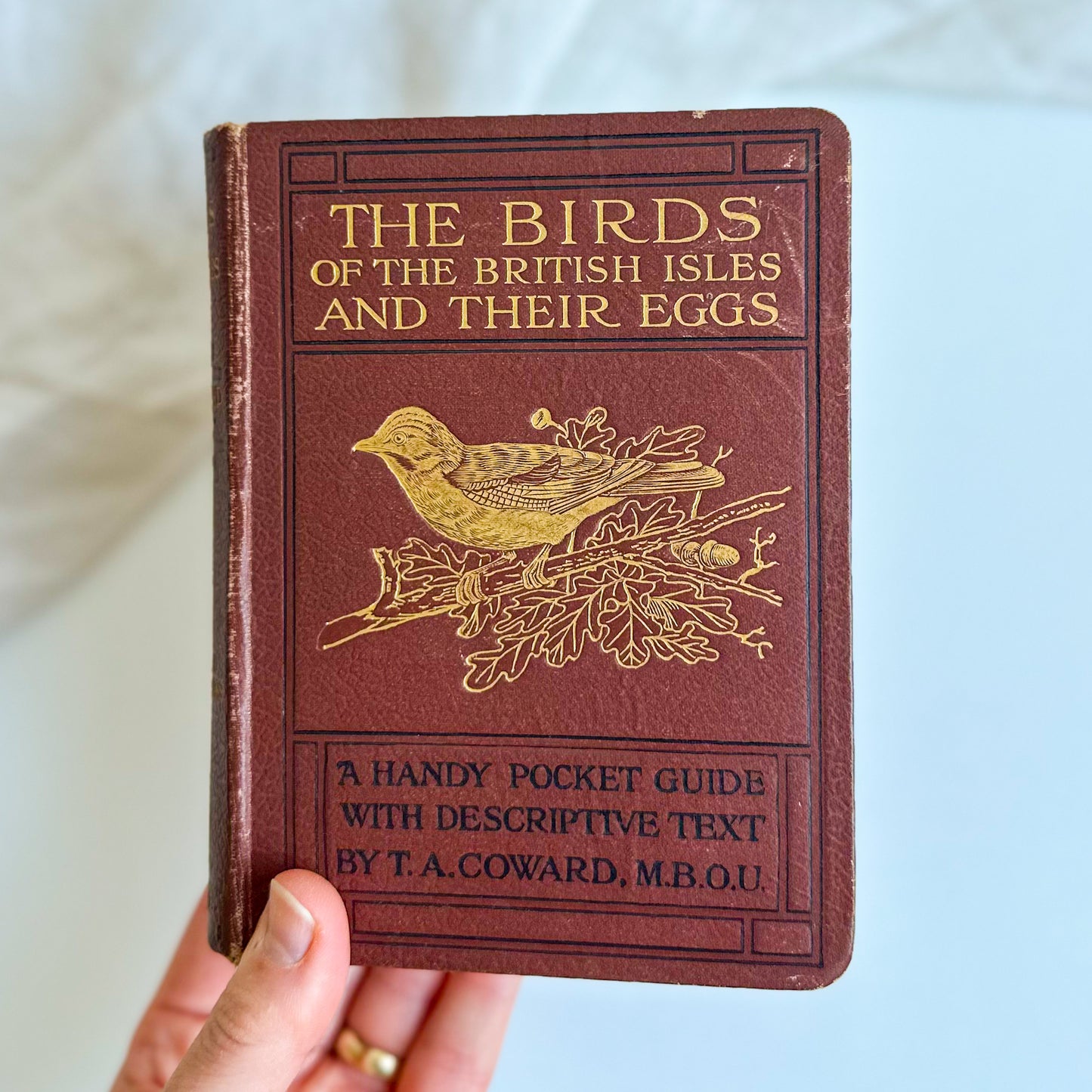 The Birds of the British Isles and Their Eggs - 1928