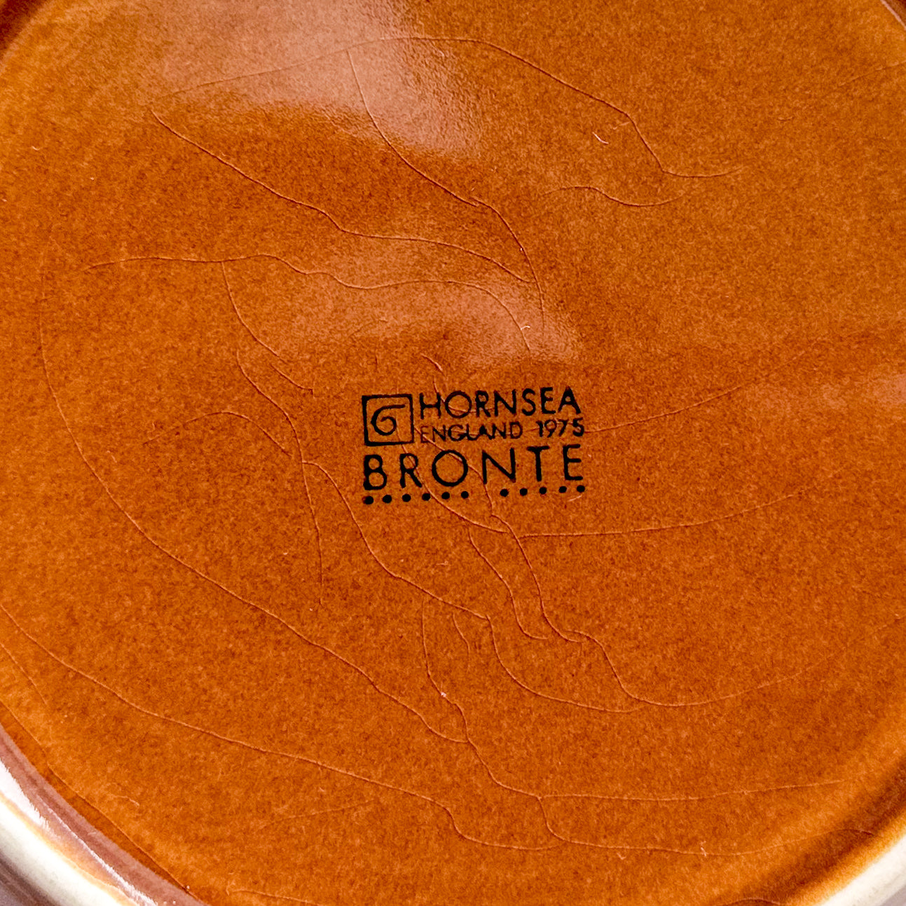 Vintage Hornsea “Bronte” Large Bowl