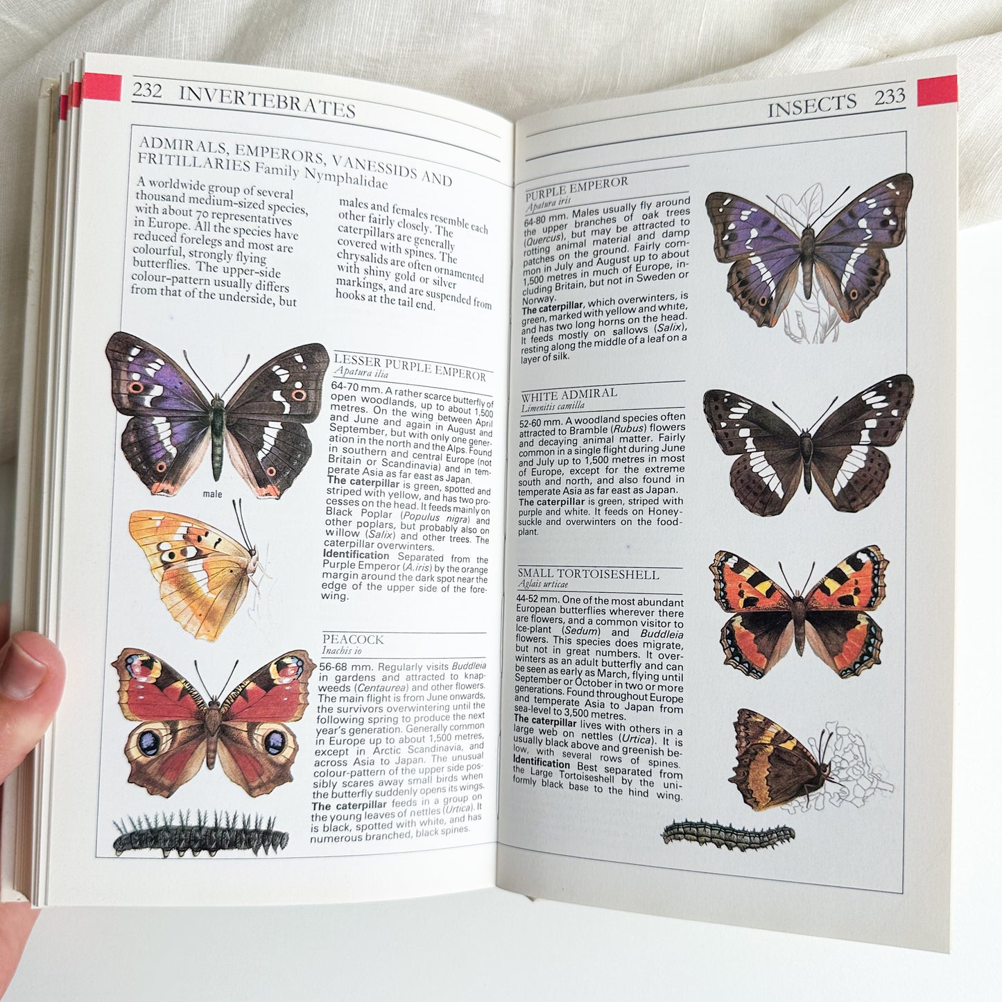 Field Guide to the Wildlife