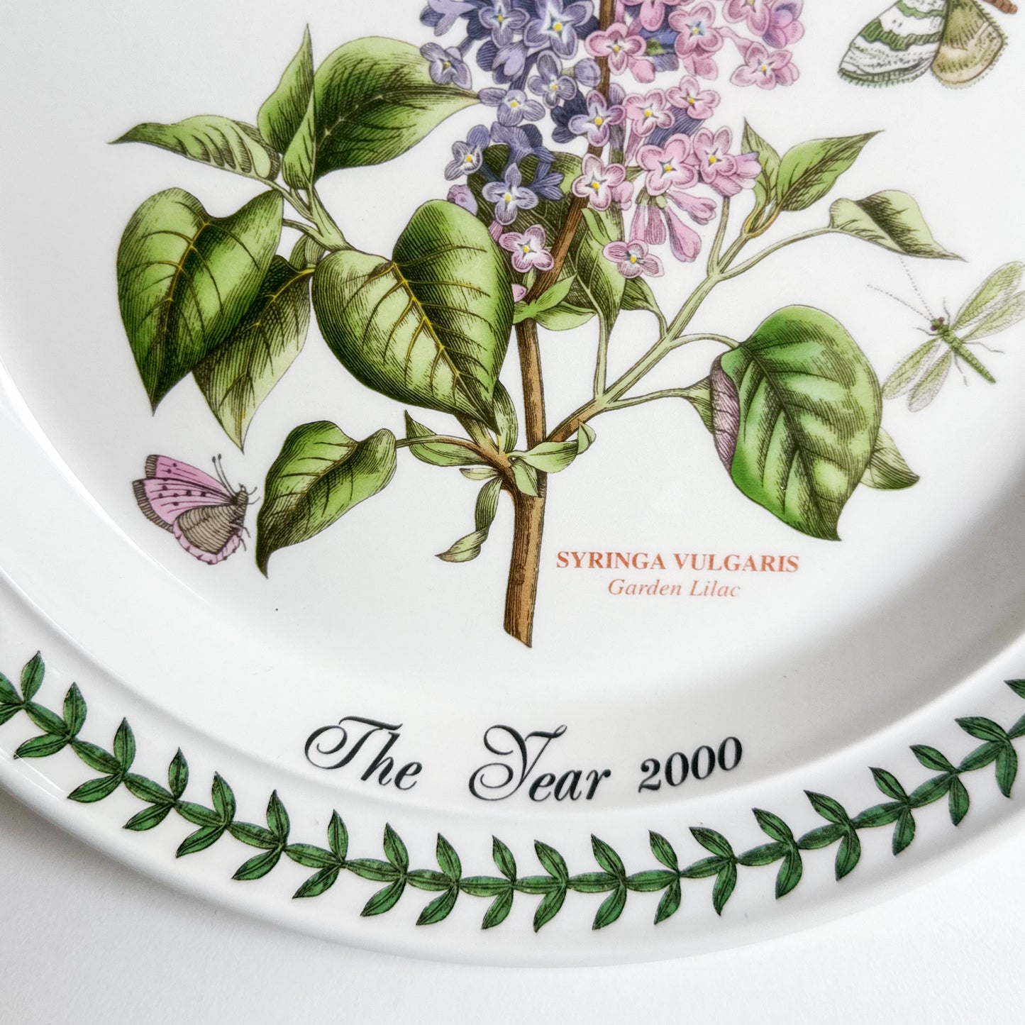 Portmeirion Plate - A New Millenium