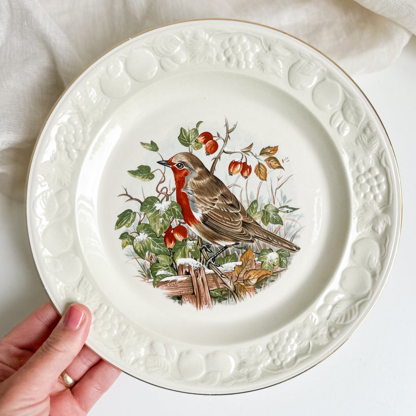 Plate with Robin and Rosehips