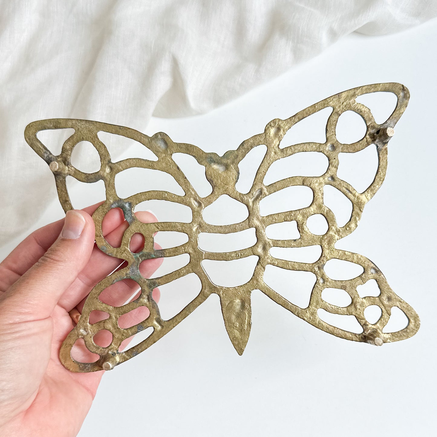 Brass Moth Trivet