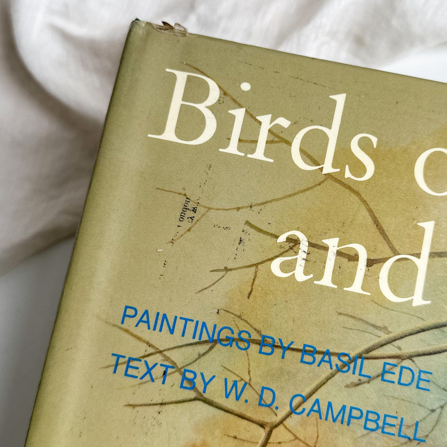 “Birds of Town and Village” Illustrated Book