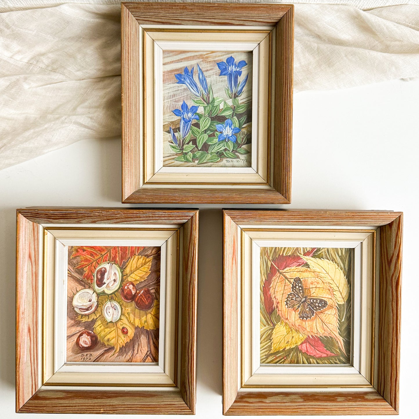 Set of 3 Watercolour Paintings