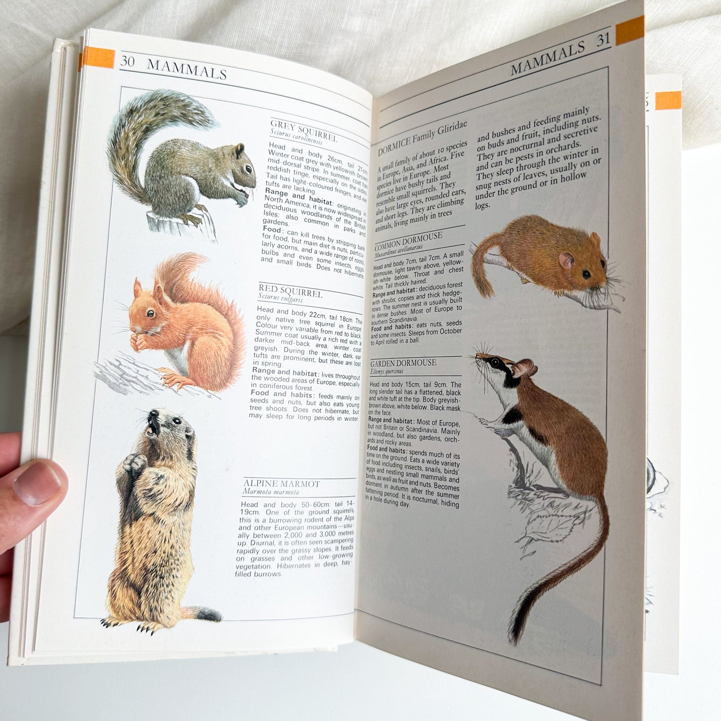 Field Guide to the Wildlife