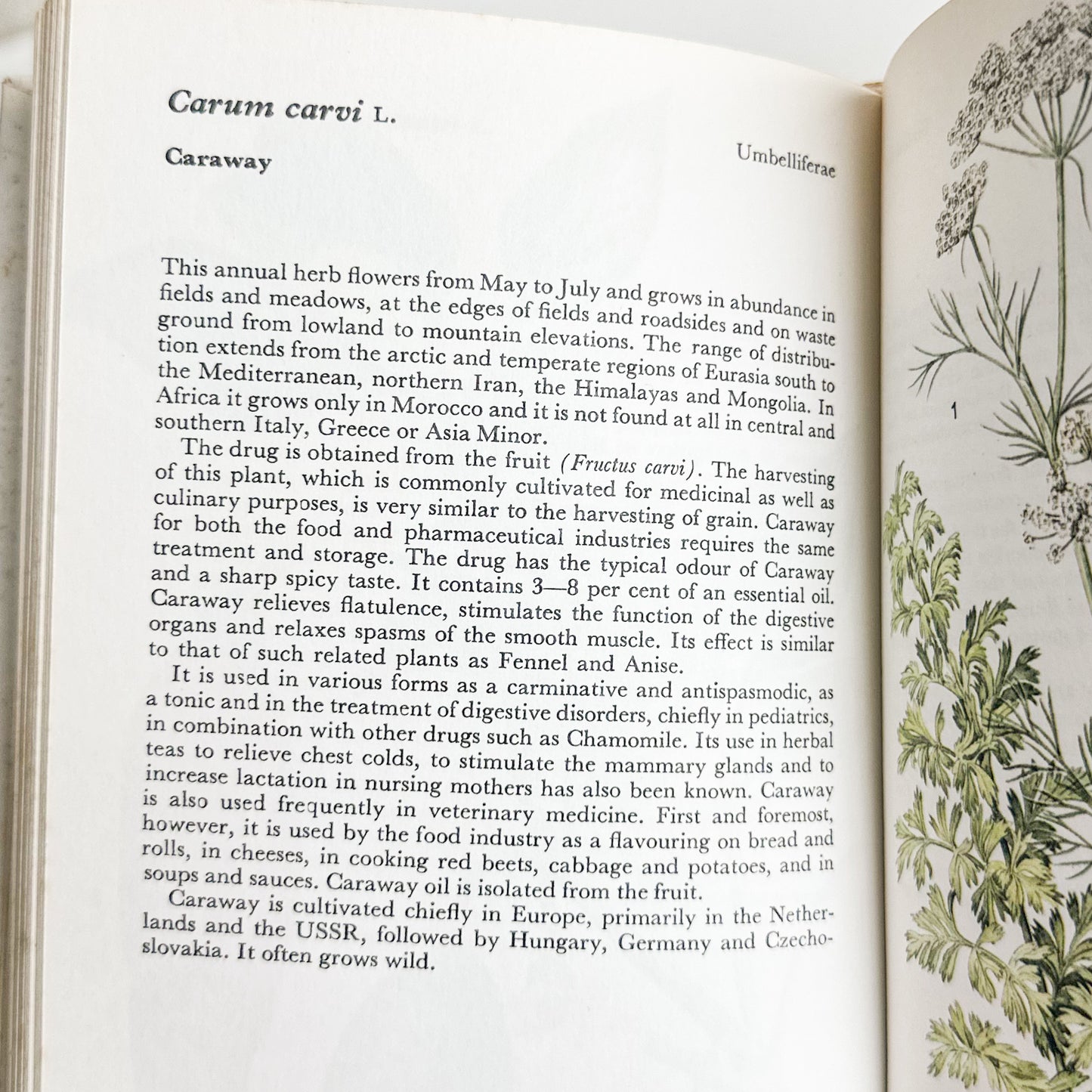 Illustrated Herbs Guide