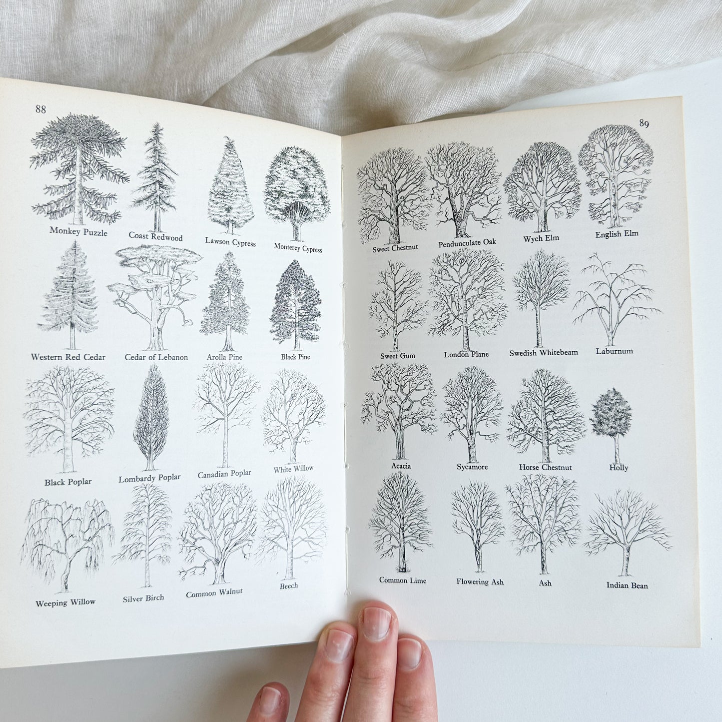 Towns and Gardens - Illustrated Book