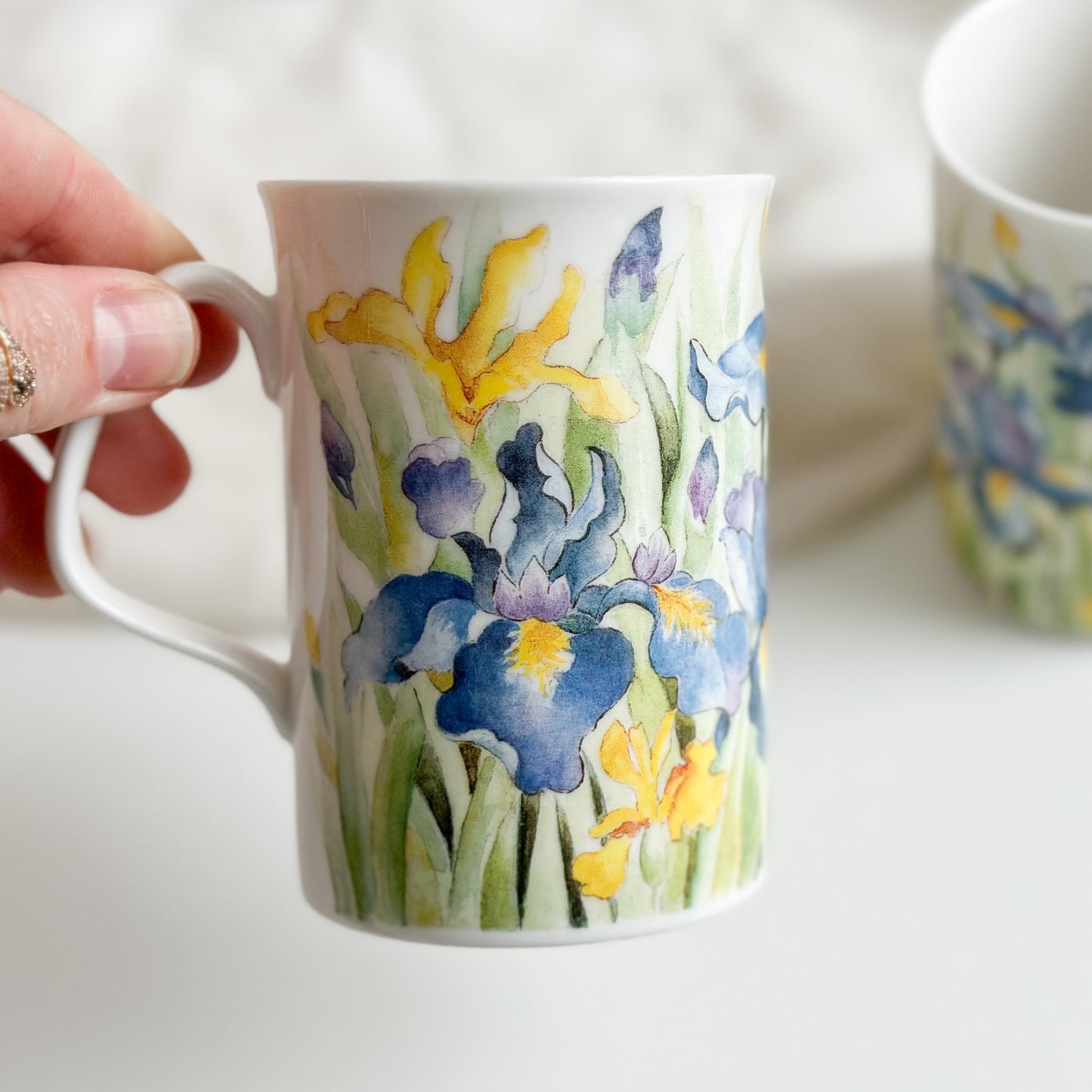 Pair of Iris Mugs by Royal Doulton