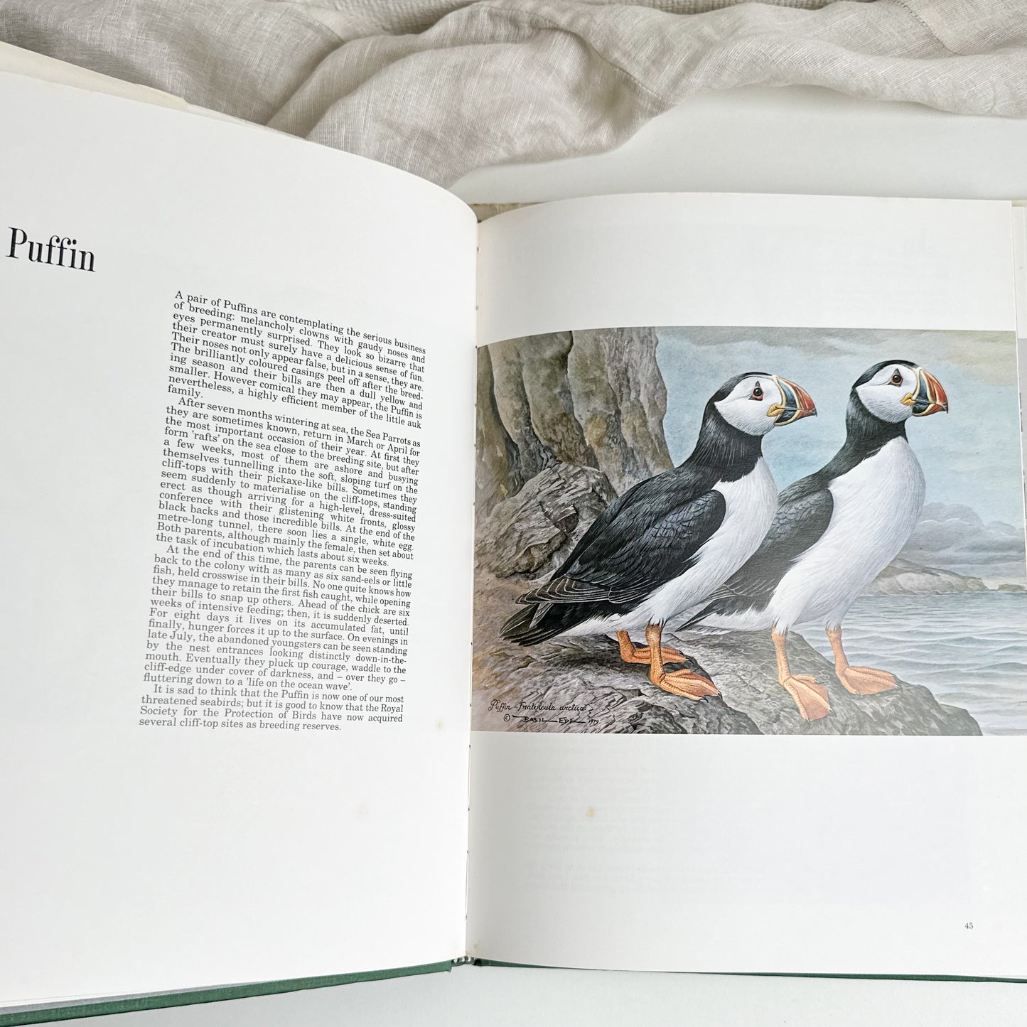 “Basil Ede’s Birds” Illustrated Book