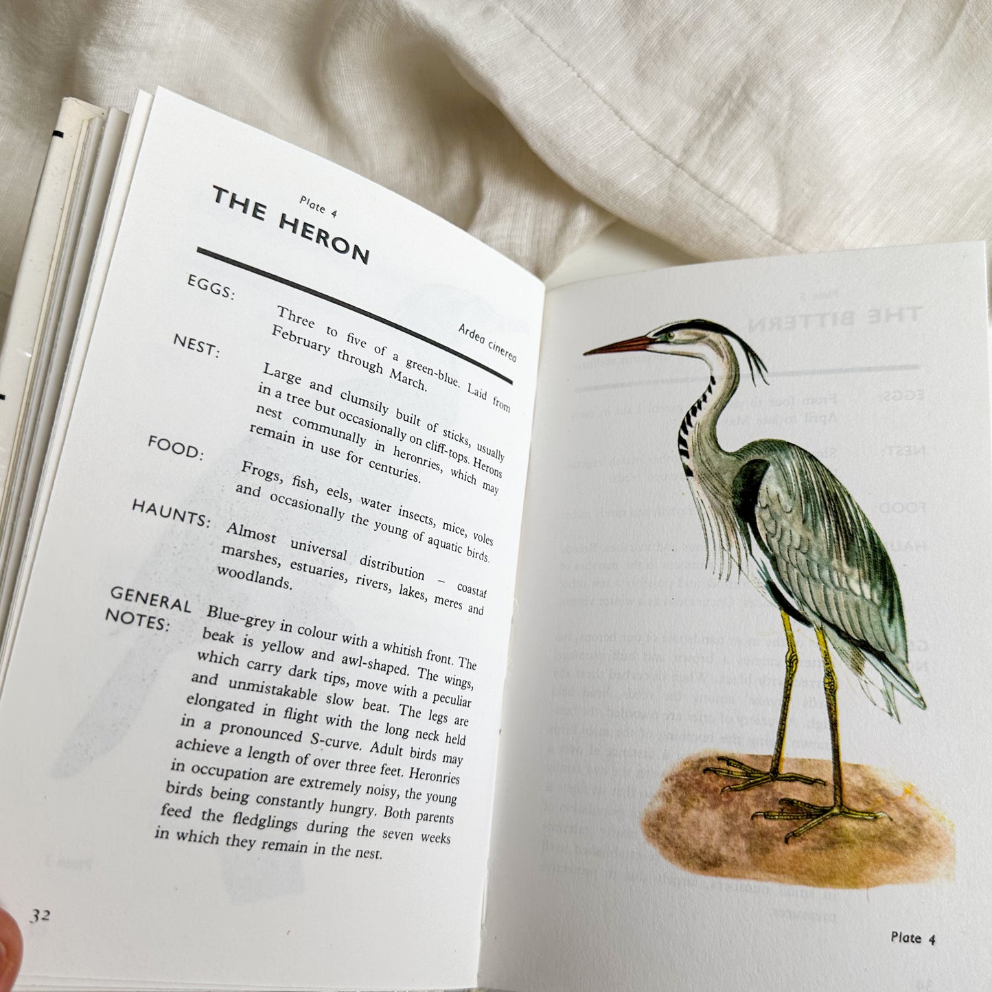 Spotting Birds Pocket Guide