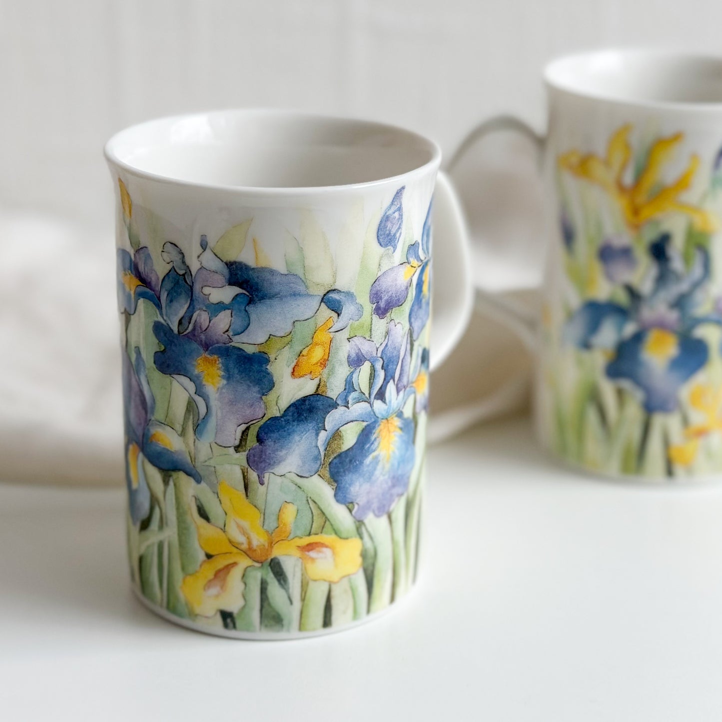 Pair of Iris Mugs by Royal Doulton