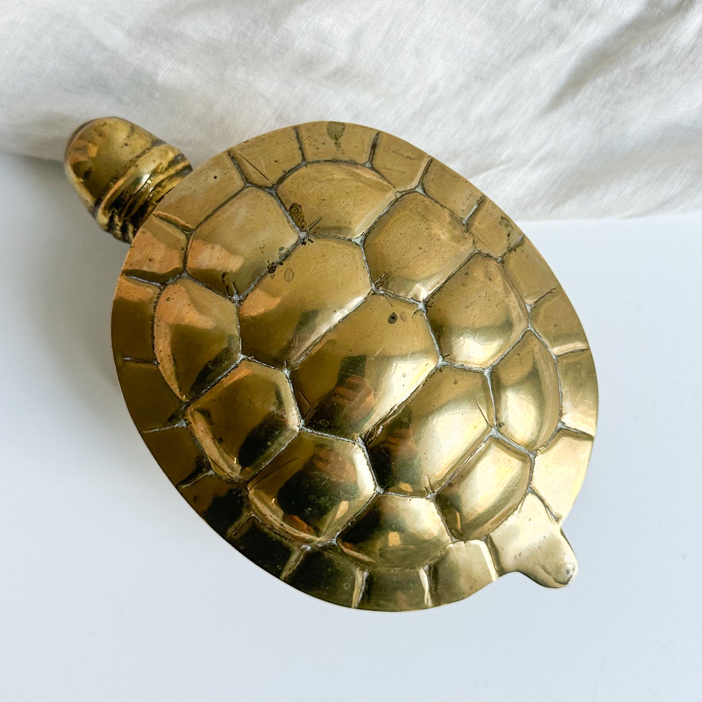 Brass Turtle Box