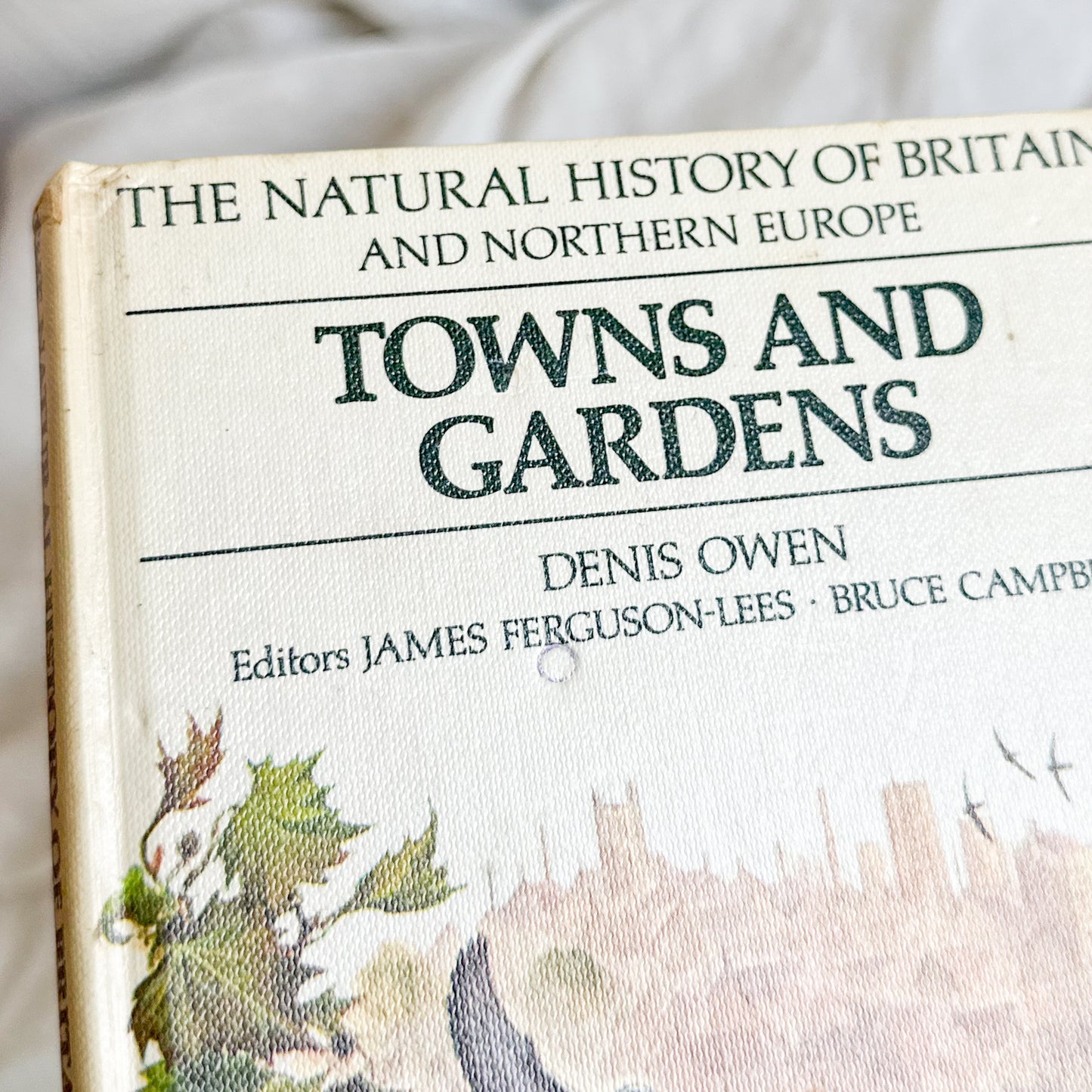 Towns and Gardens - Illustrated Book