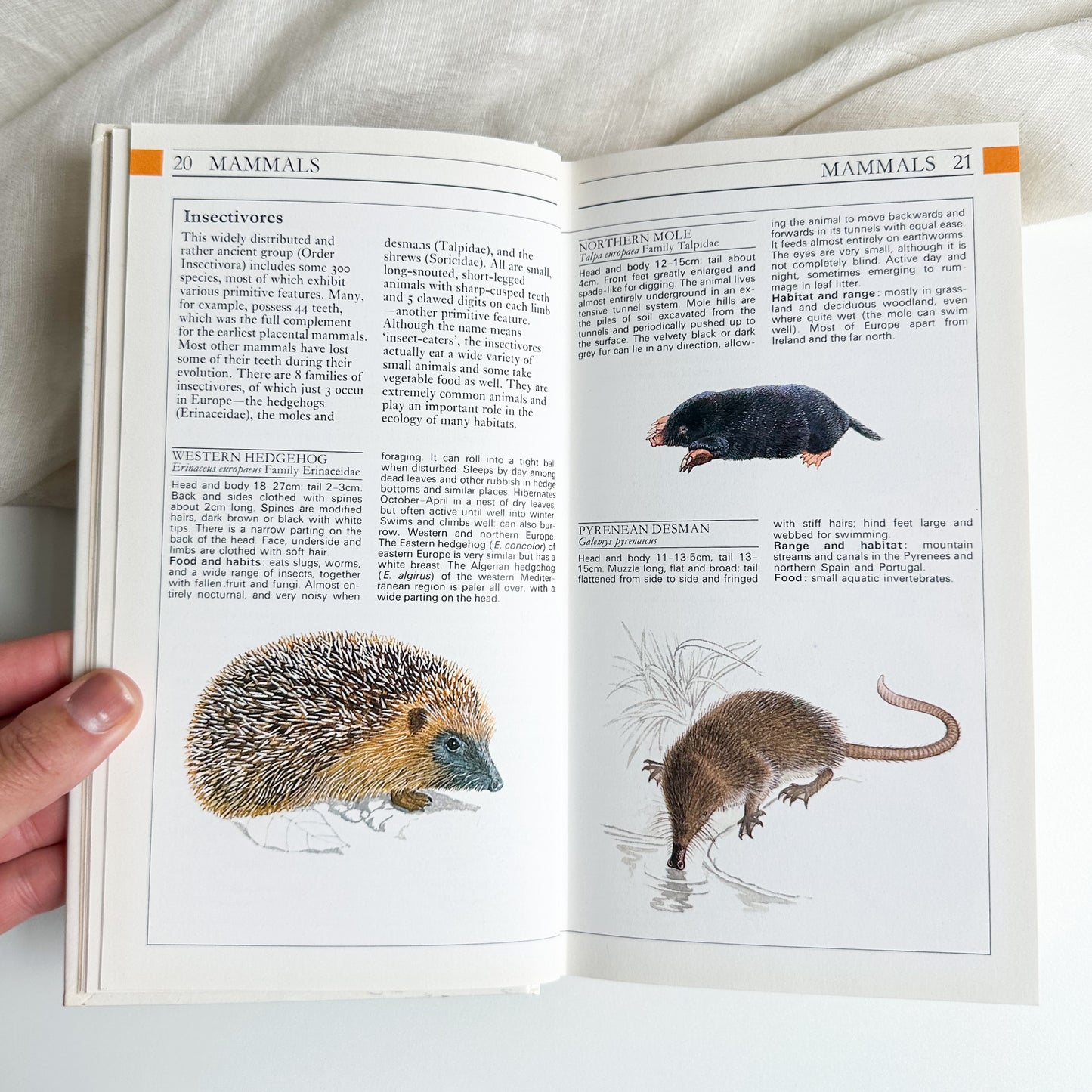 Field Guide to the Wildlife