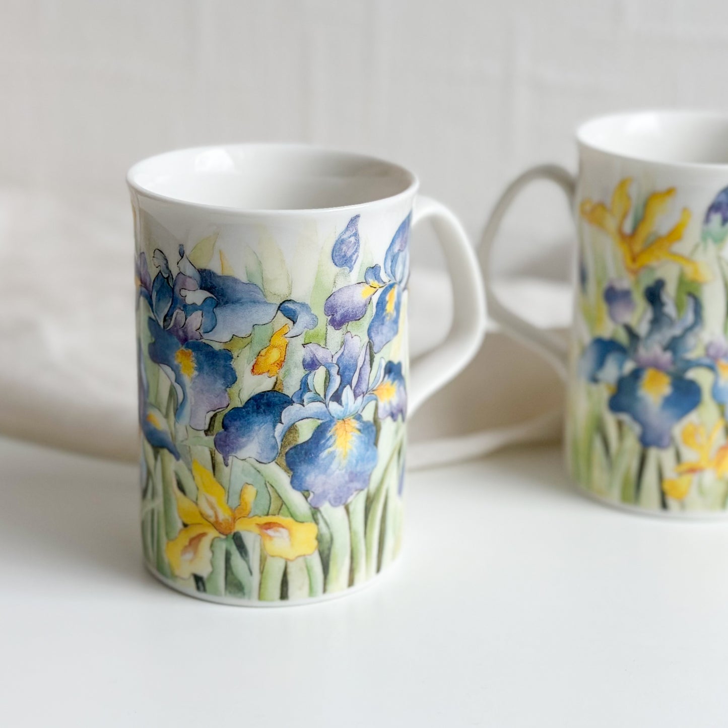 Pair of Iris Mugs by Royal Doulton