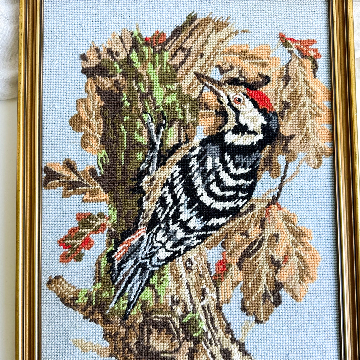 Framed Woodpecker Needlepoint
