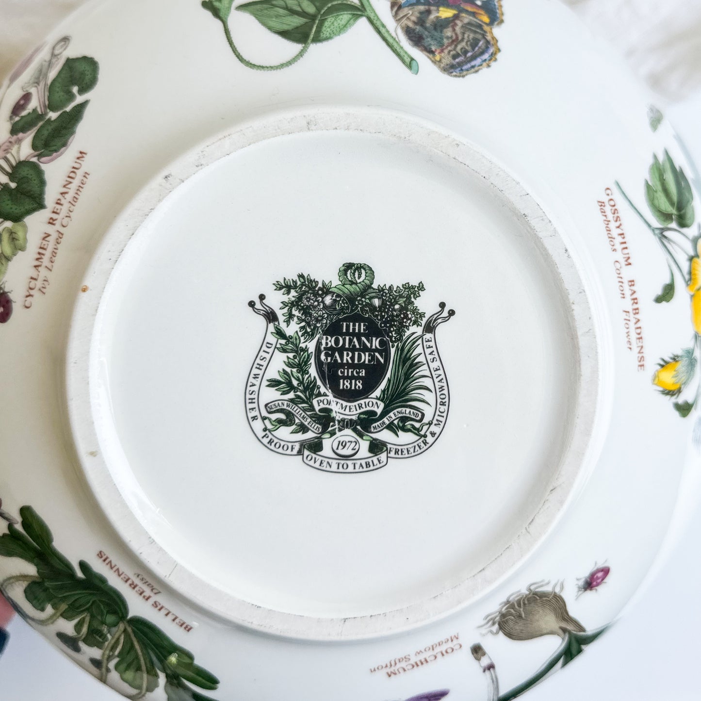 Large Portmeirion Bowl