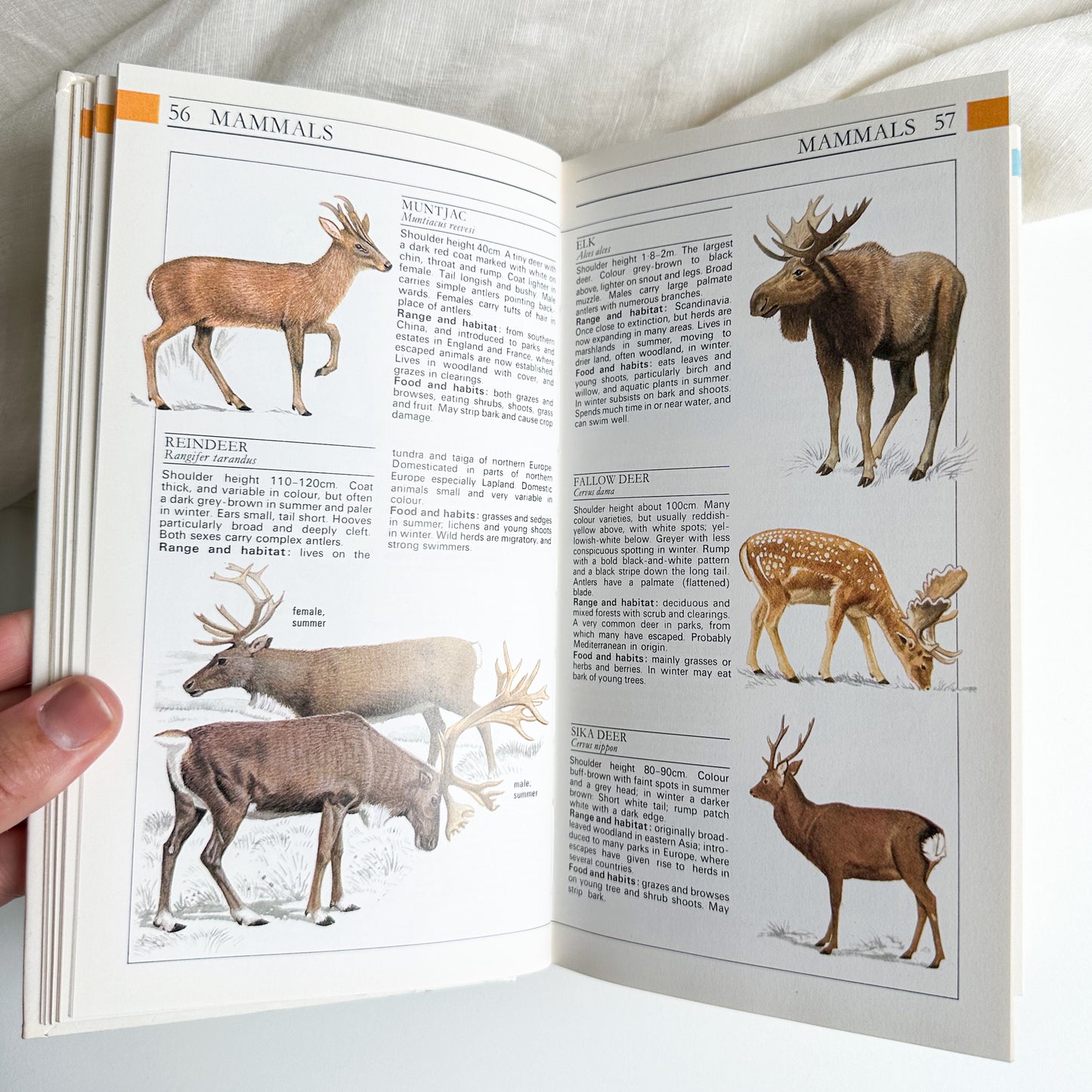 Field Guide to the Wildlife