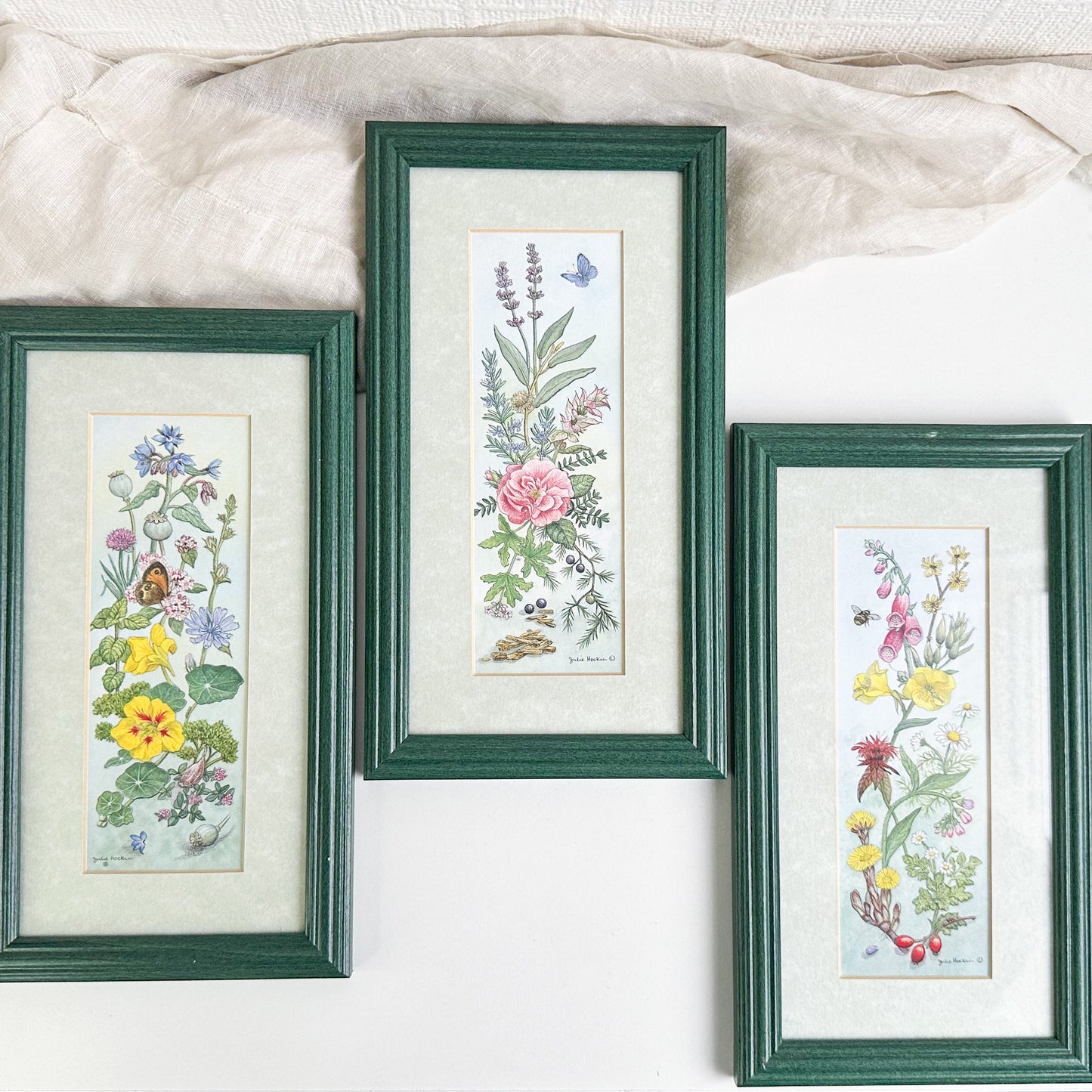 Set of 3 Framed Floral Prints