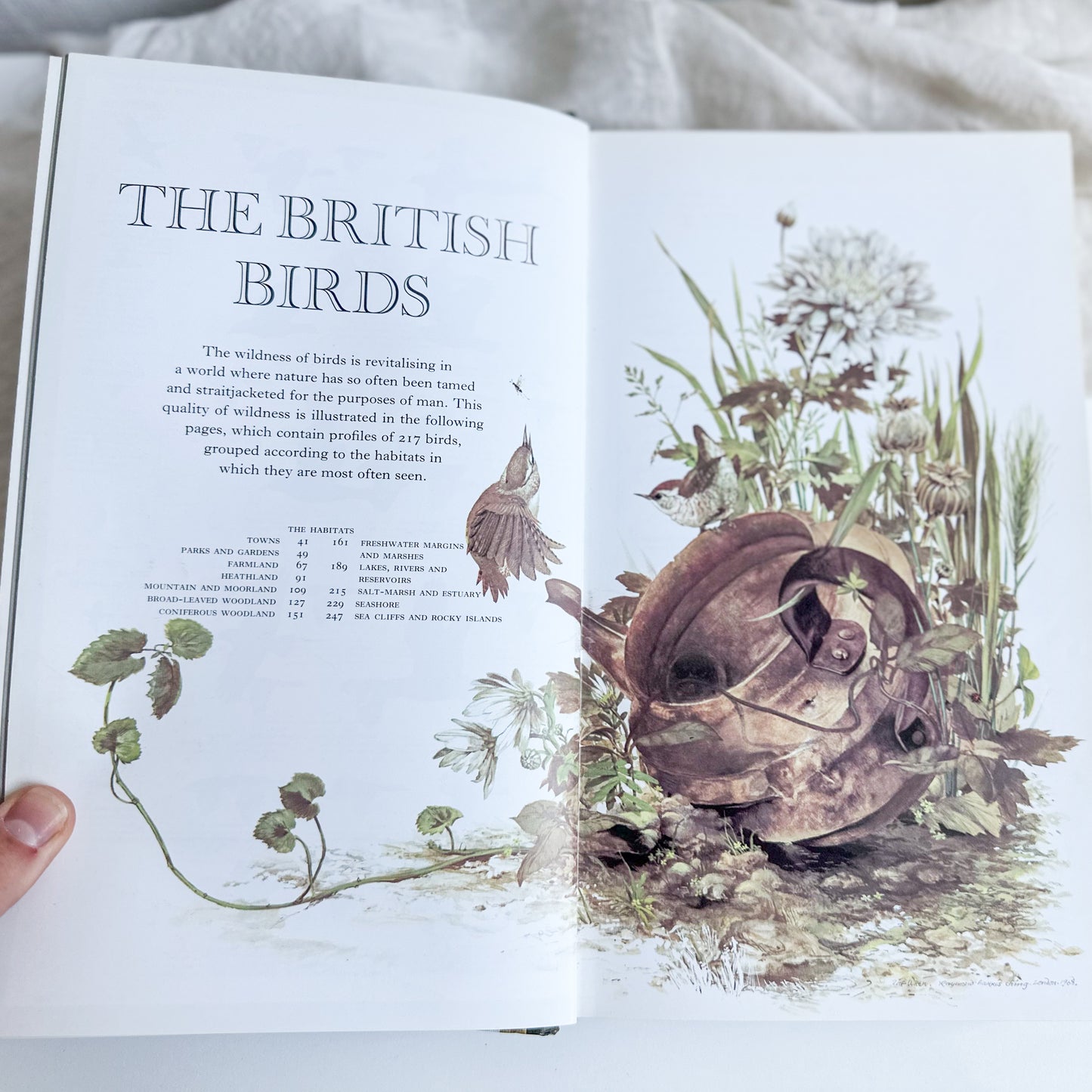 Book of British Birds