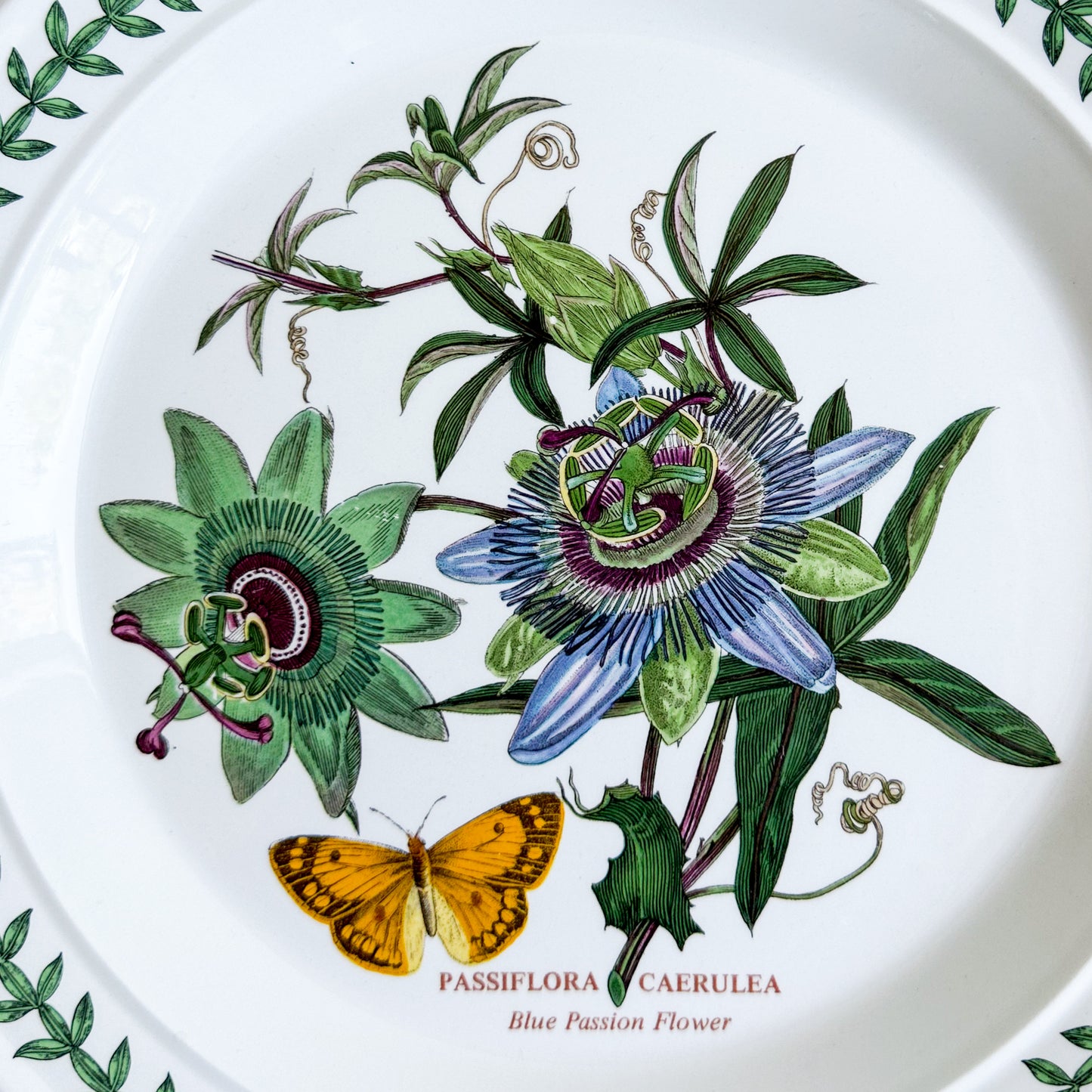 Portmeirion Passion Flower Plate