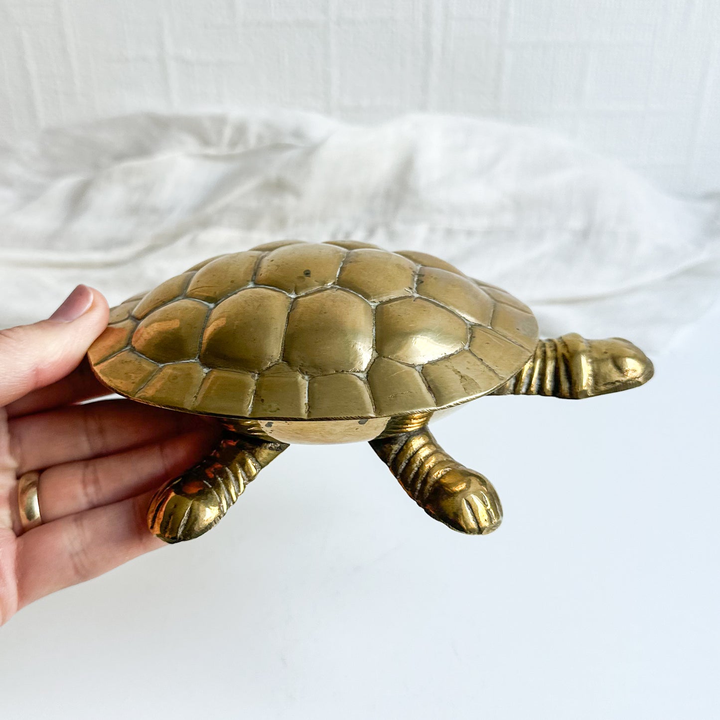 Brass Turtle Box