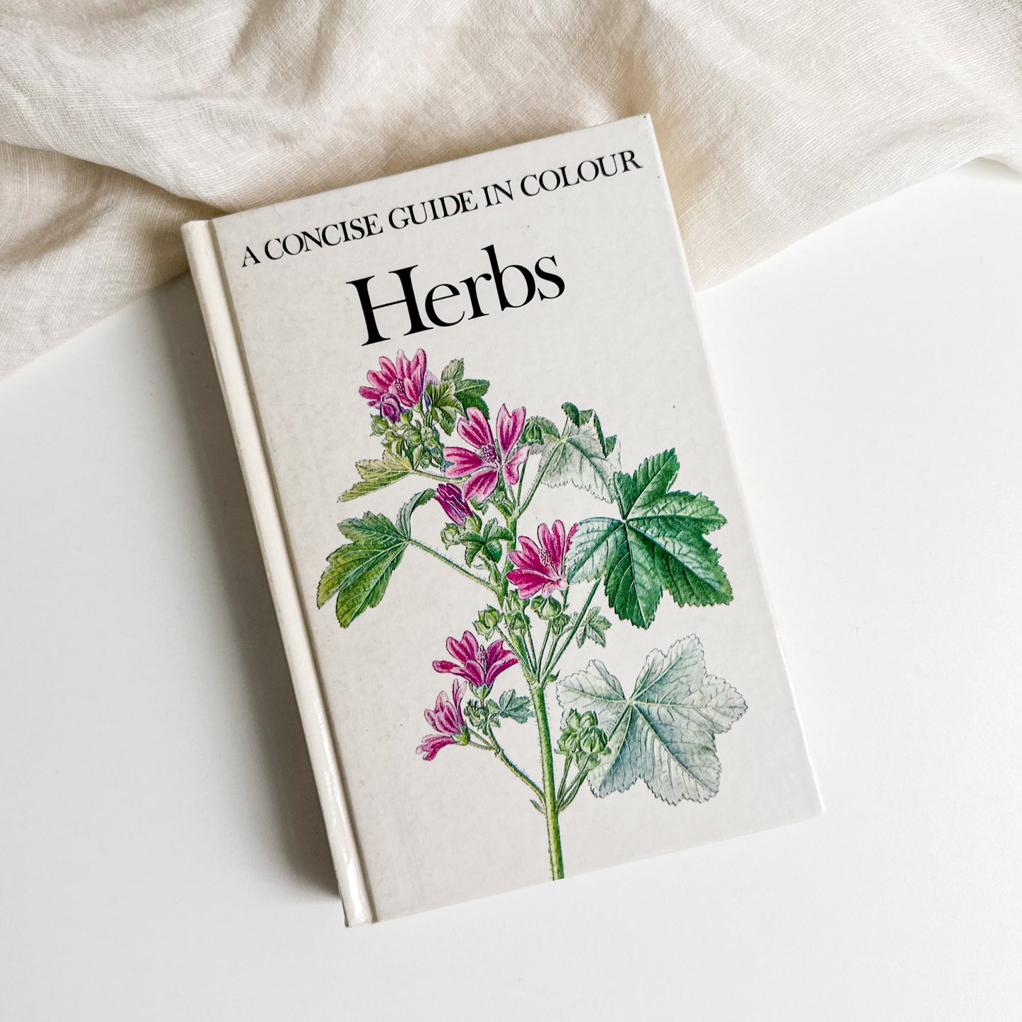 Illustrated Herbs Guide