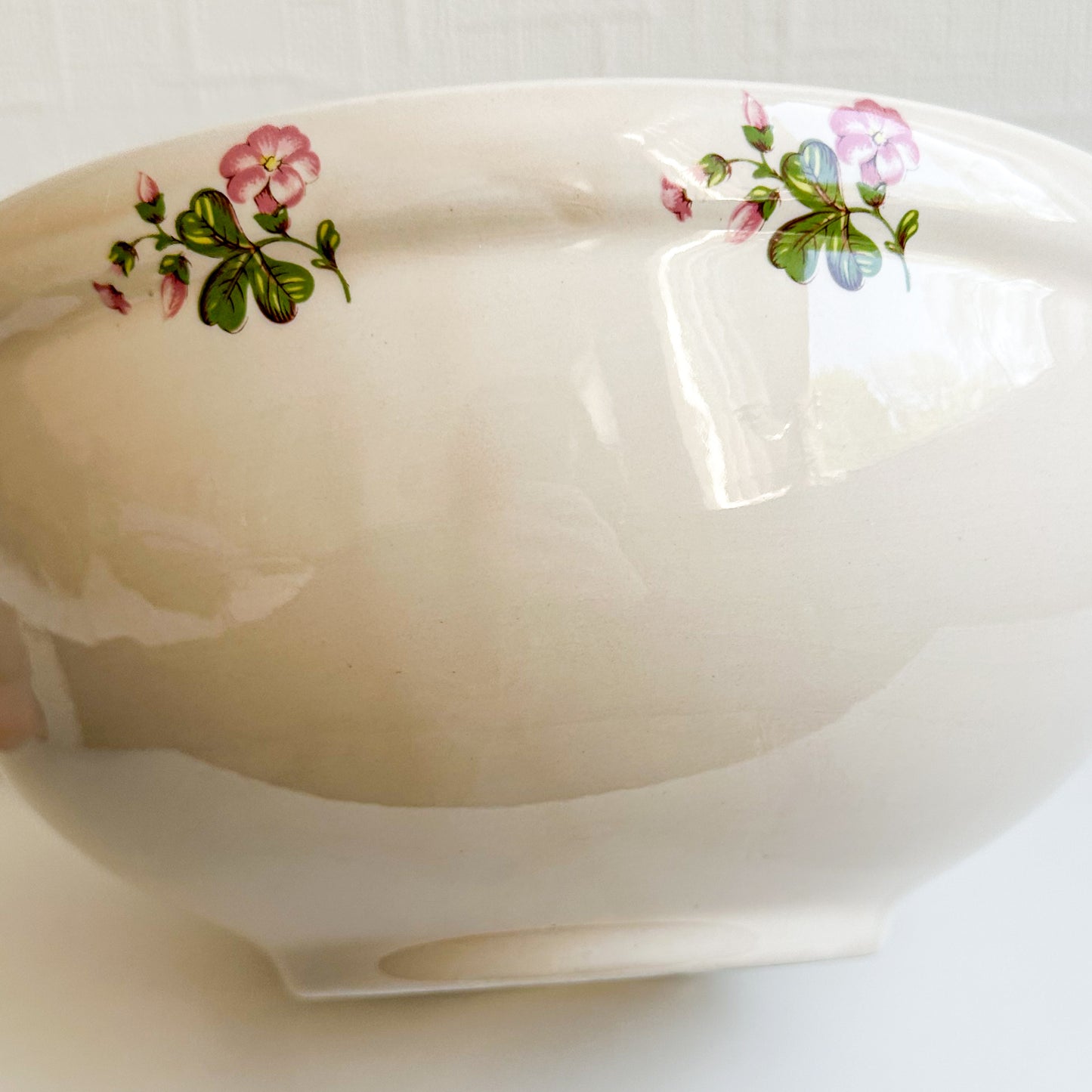 Large Portmeirion Bowl