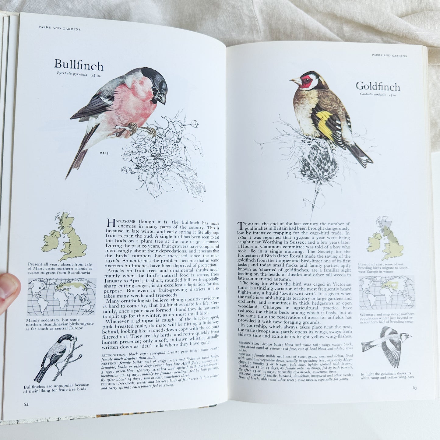 Book of British Birds