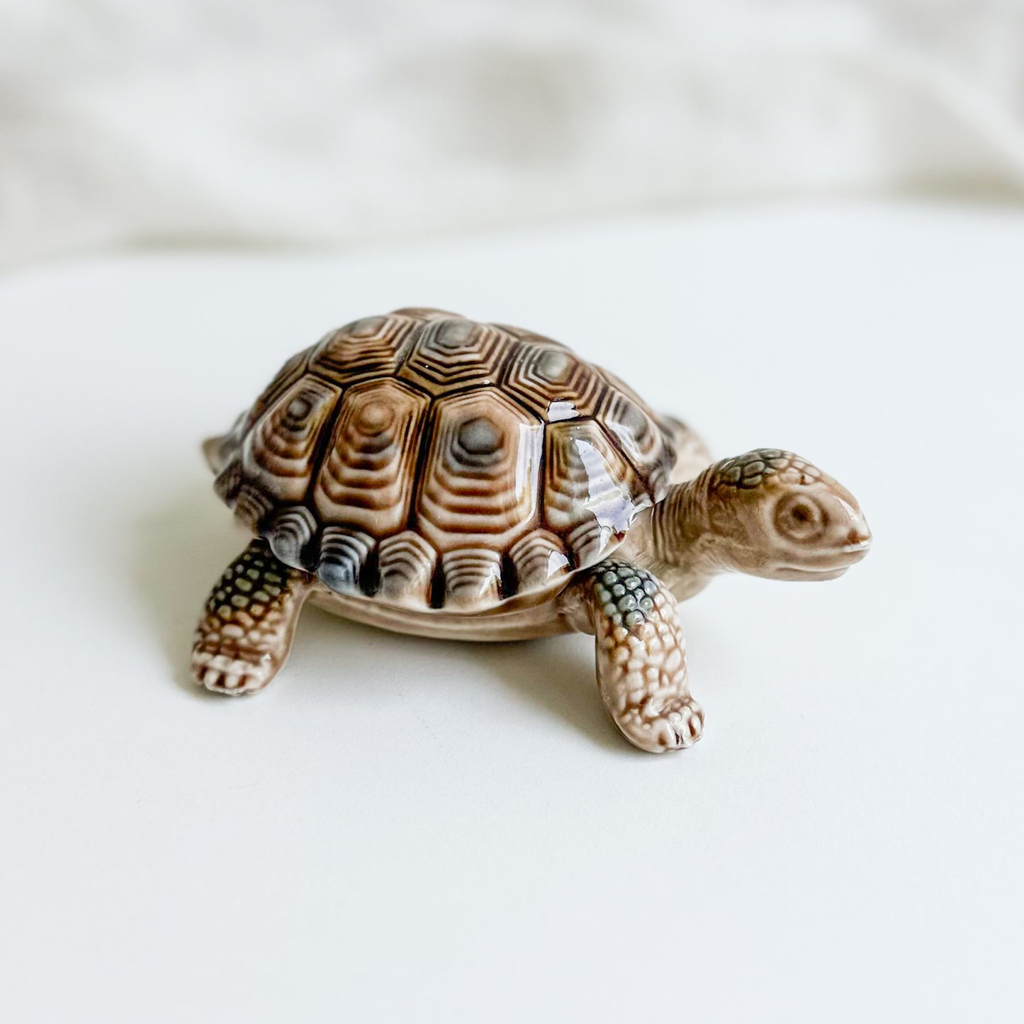 Wade Whimsies Turtle Box
