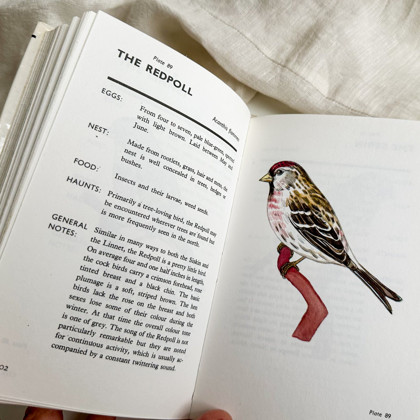 Spotting Birds Pocket Guide