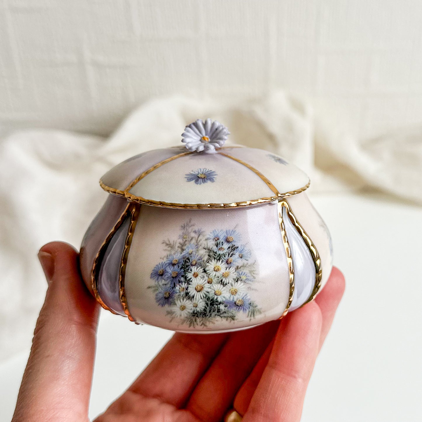 Lena Liu Music Box - Asters