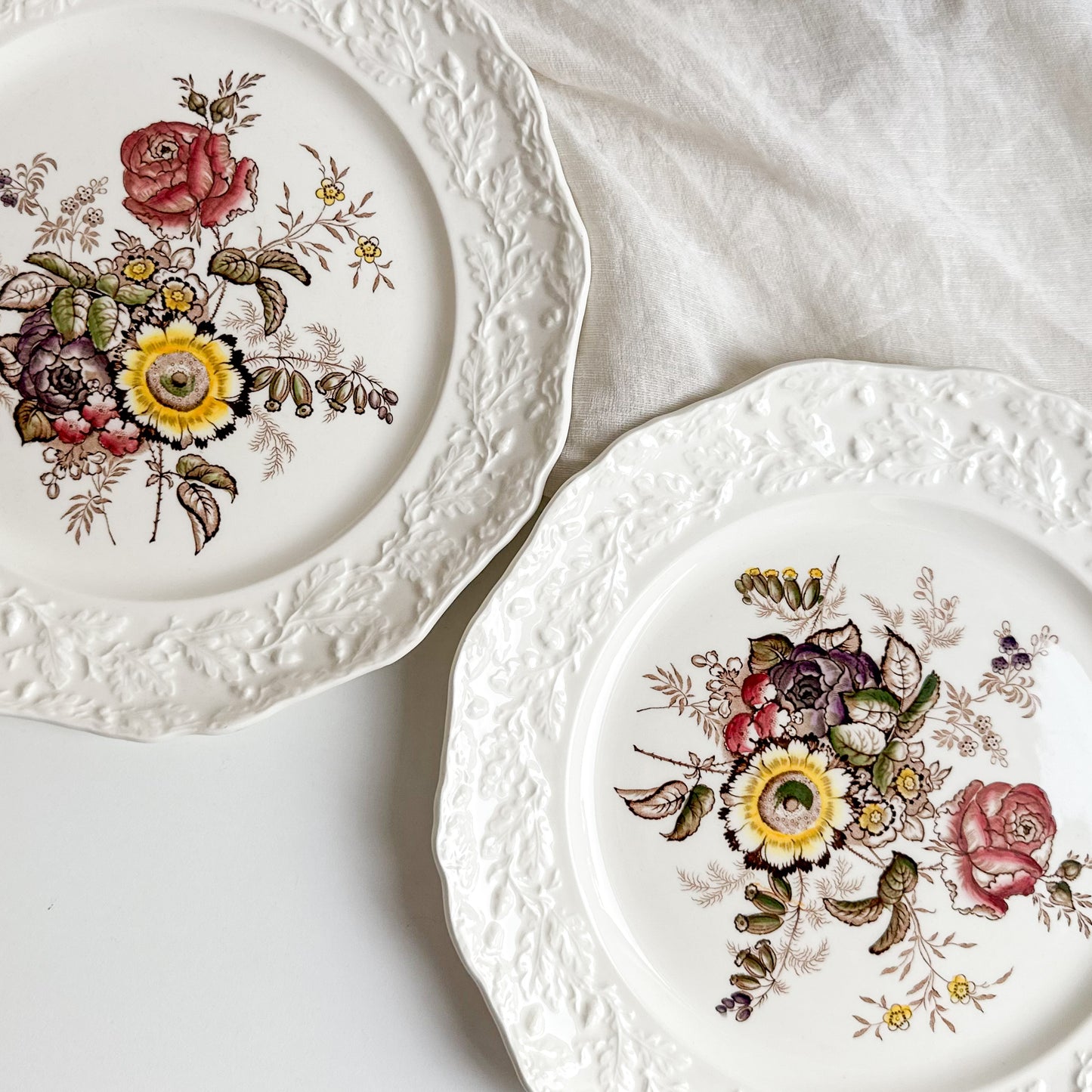 Pair of Mason’s Dinner Plates