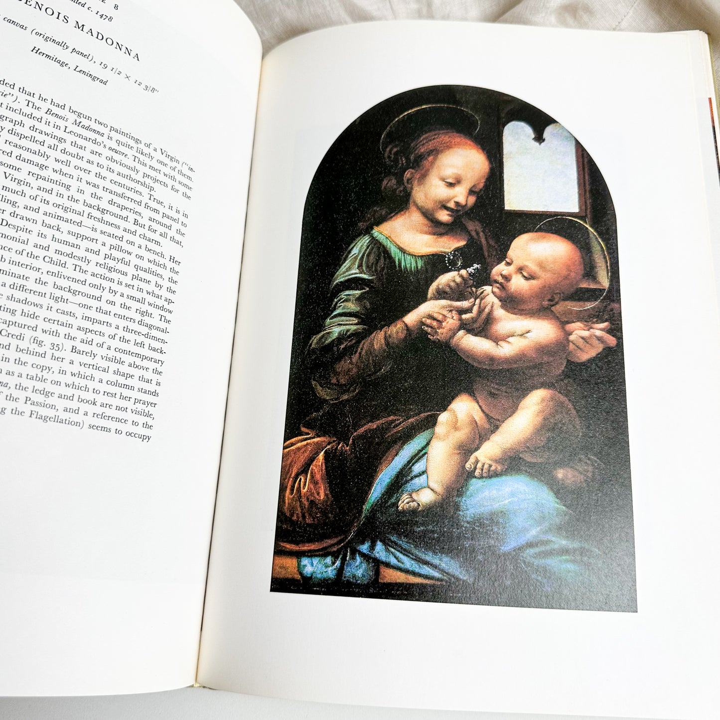 Leonardo Da Vinci Book with Coloured Plates