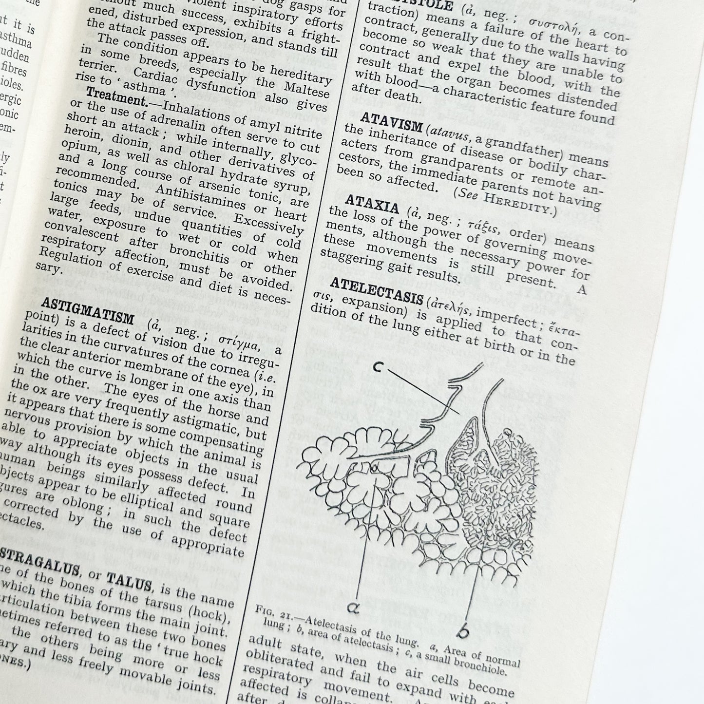 Black’s Veterinary Dictionary