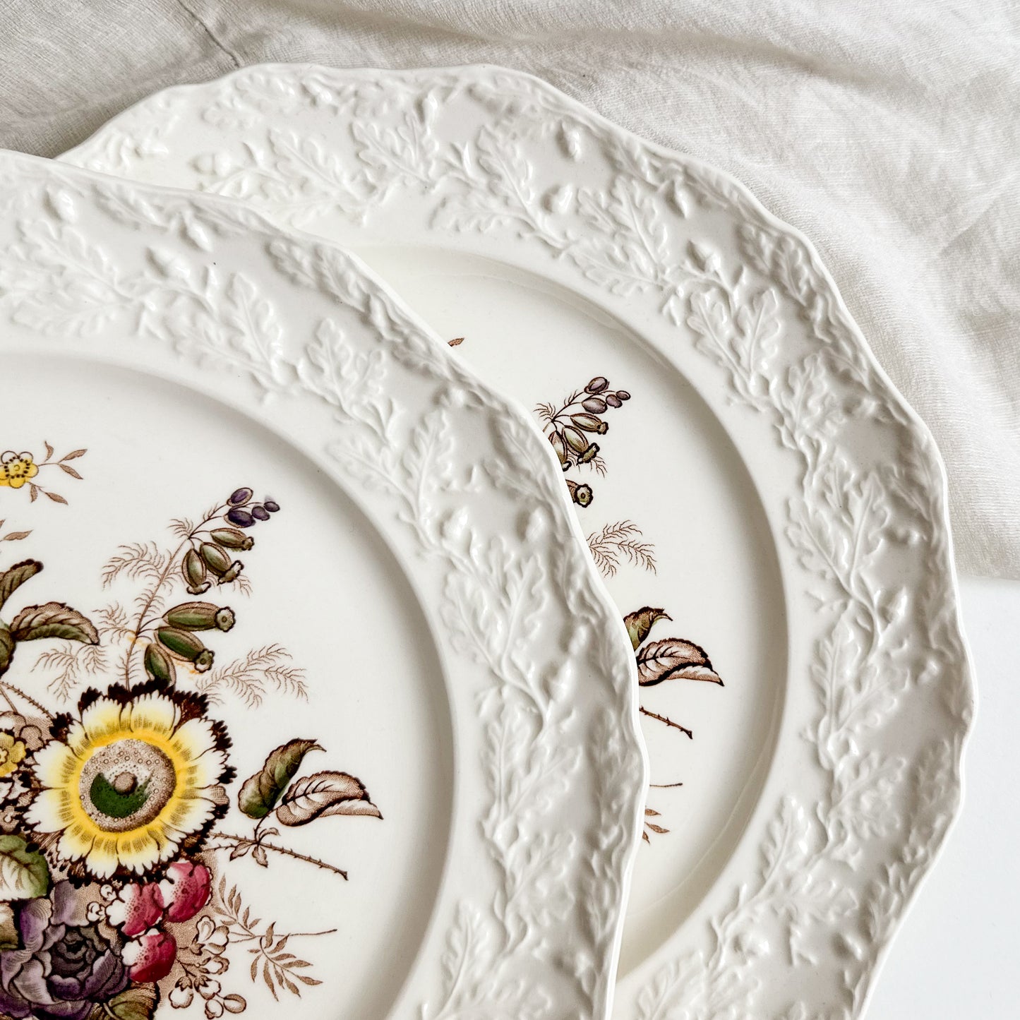 Pair of Mason’s Dinner Plates