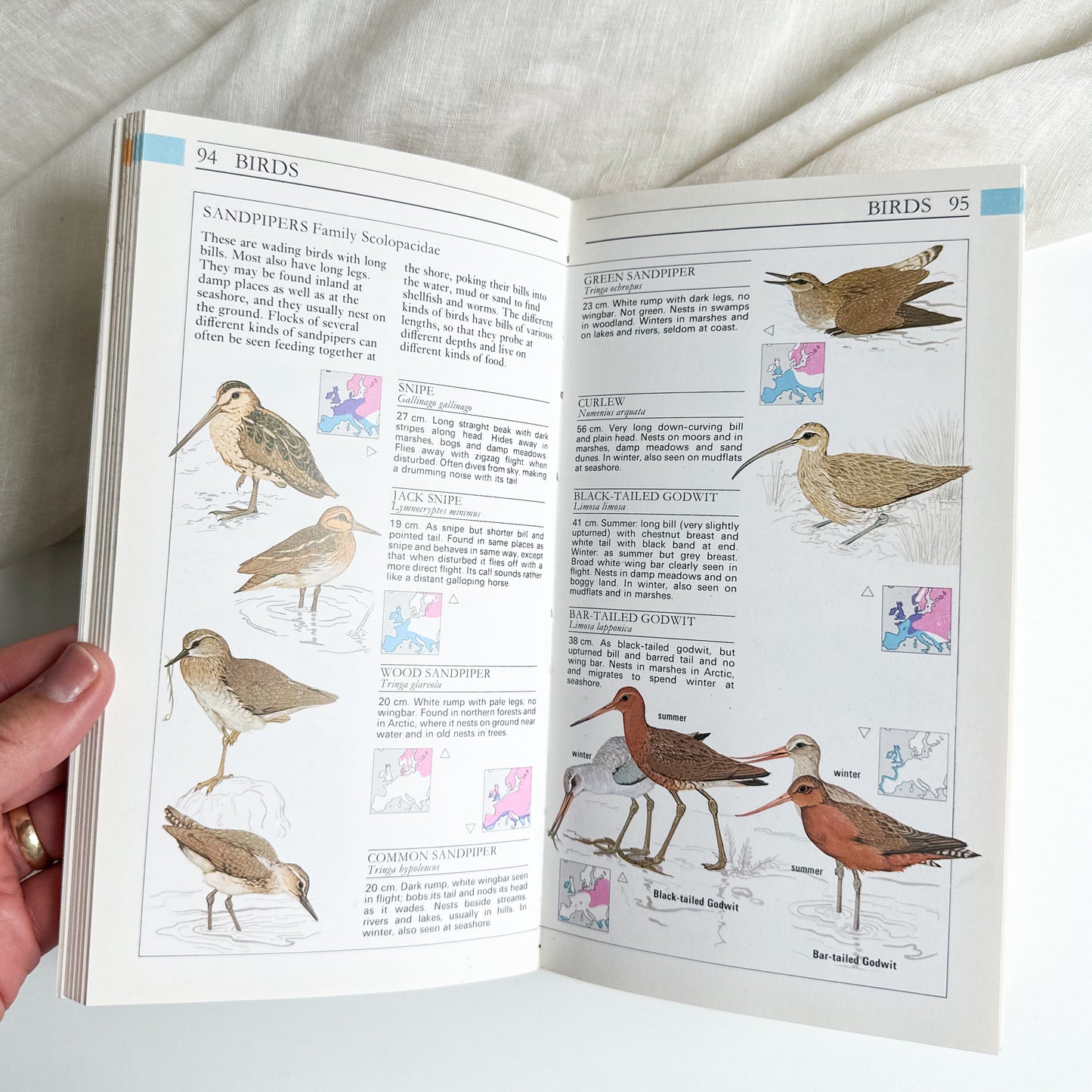 Field Guide to the Wildlife