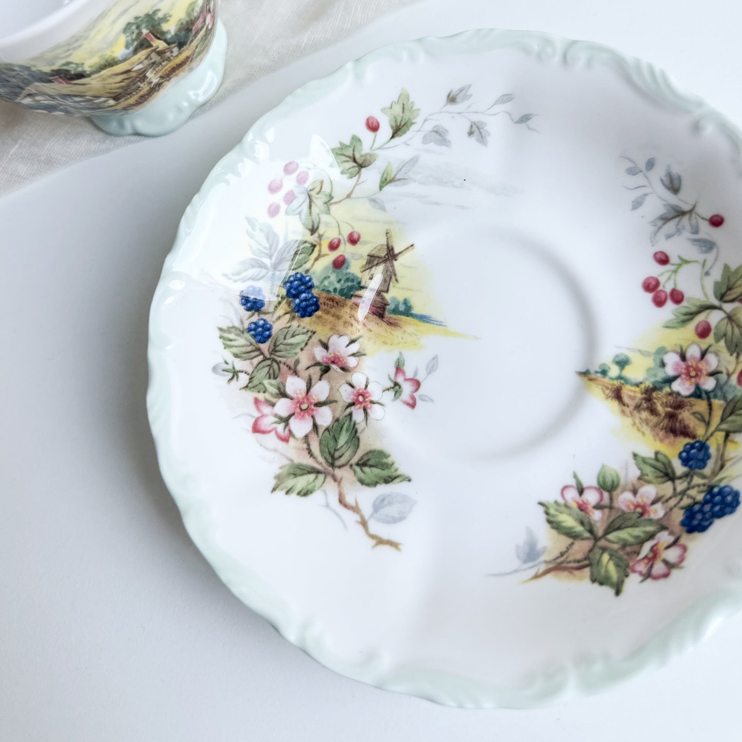 Royal Albert ‘Autumn’ Cup and Saucer