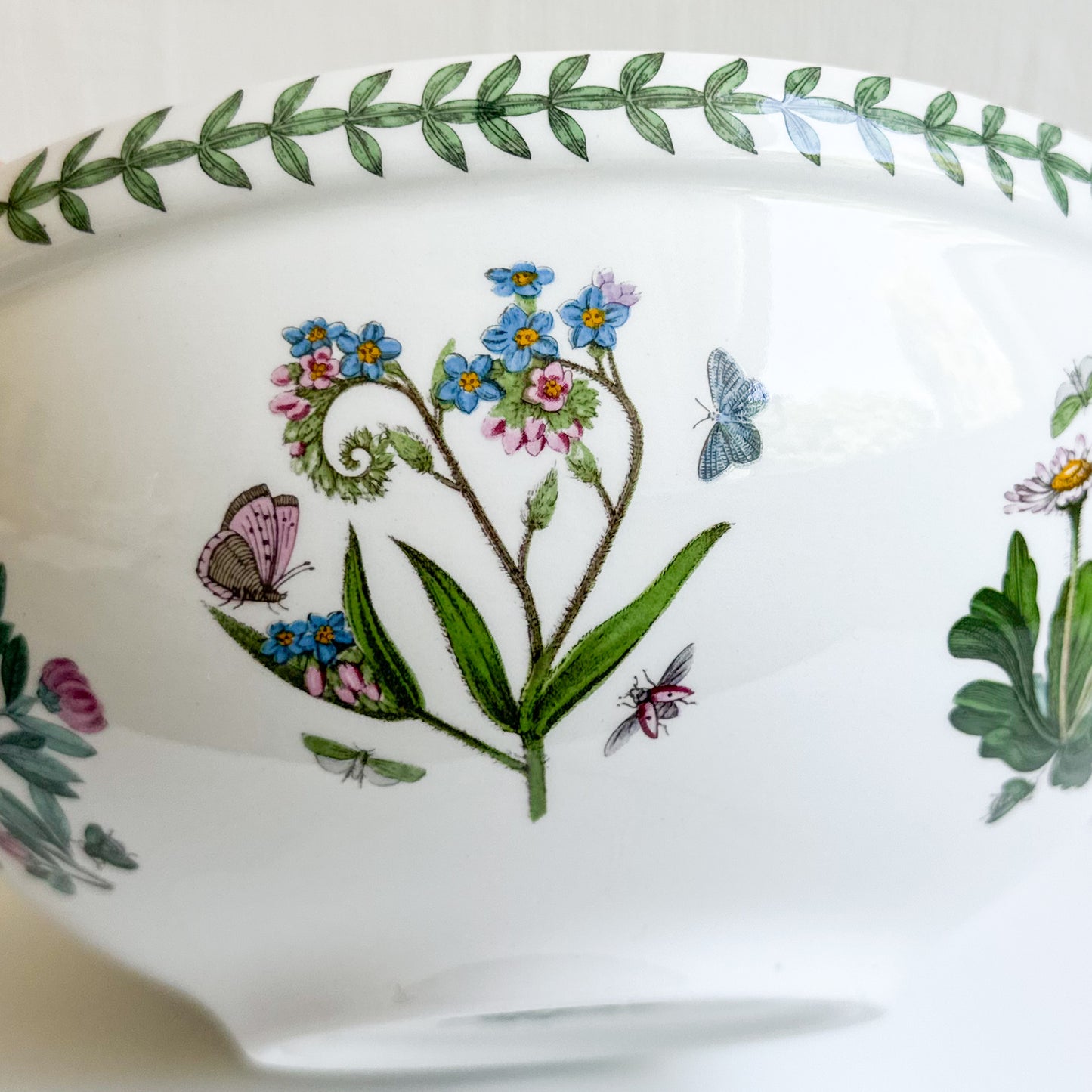 Medium Portmeirion Bowl