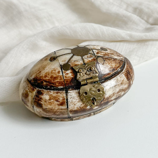 Horn Bone and Brass Small Box