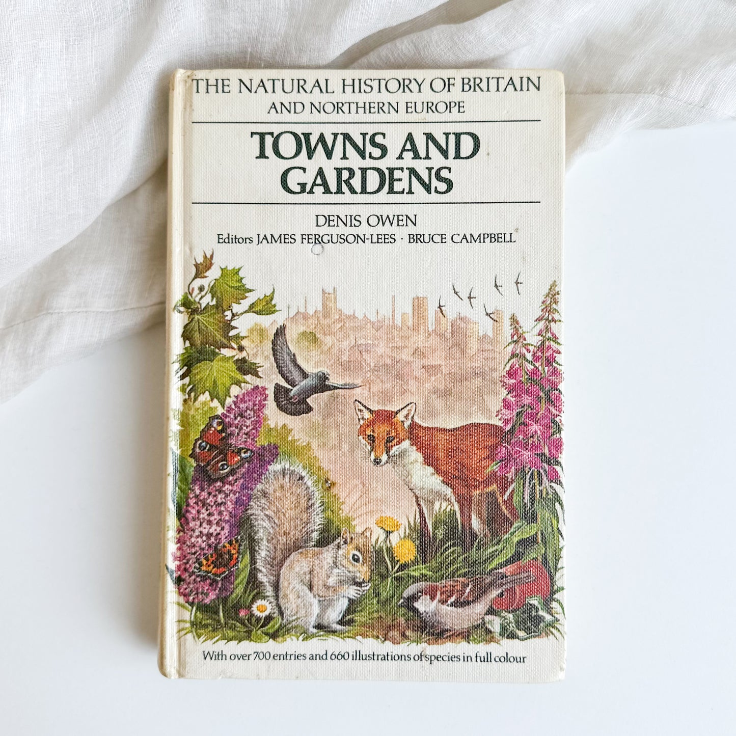 Towns and Gardens - Illustrated Book