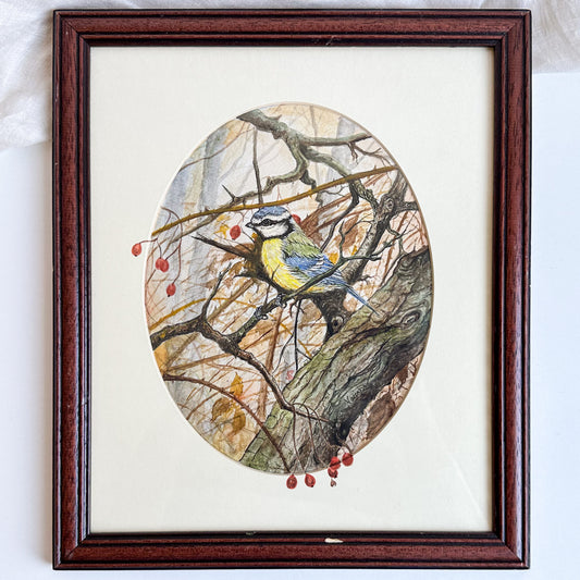 Framed Blue Tit Watercolour