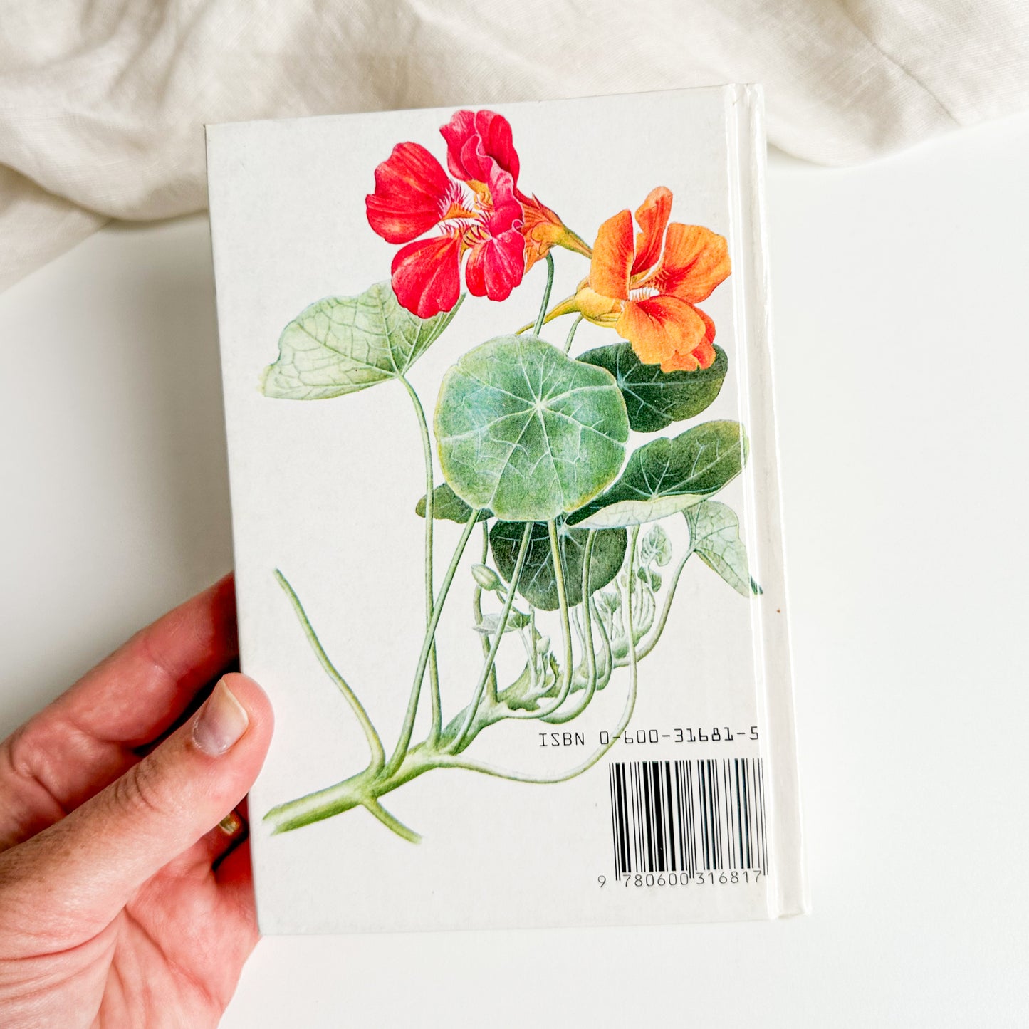 Illustrated Herbs Guide