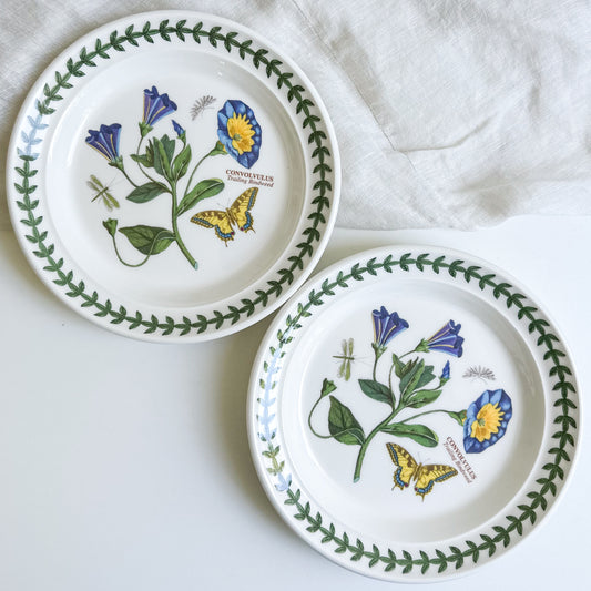 Pair of Portmeirion Bindweed Plates